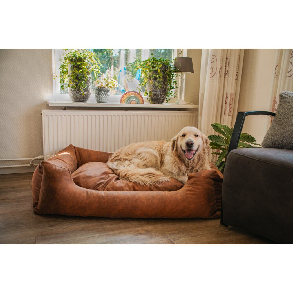 Hund liegt in einem cognacfarbenen Hundekorb. Der Korb hat eine rechteckige Form mit erhöhten Seiten. Fenster im Hintergrund.