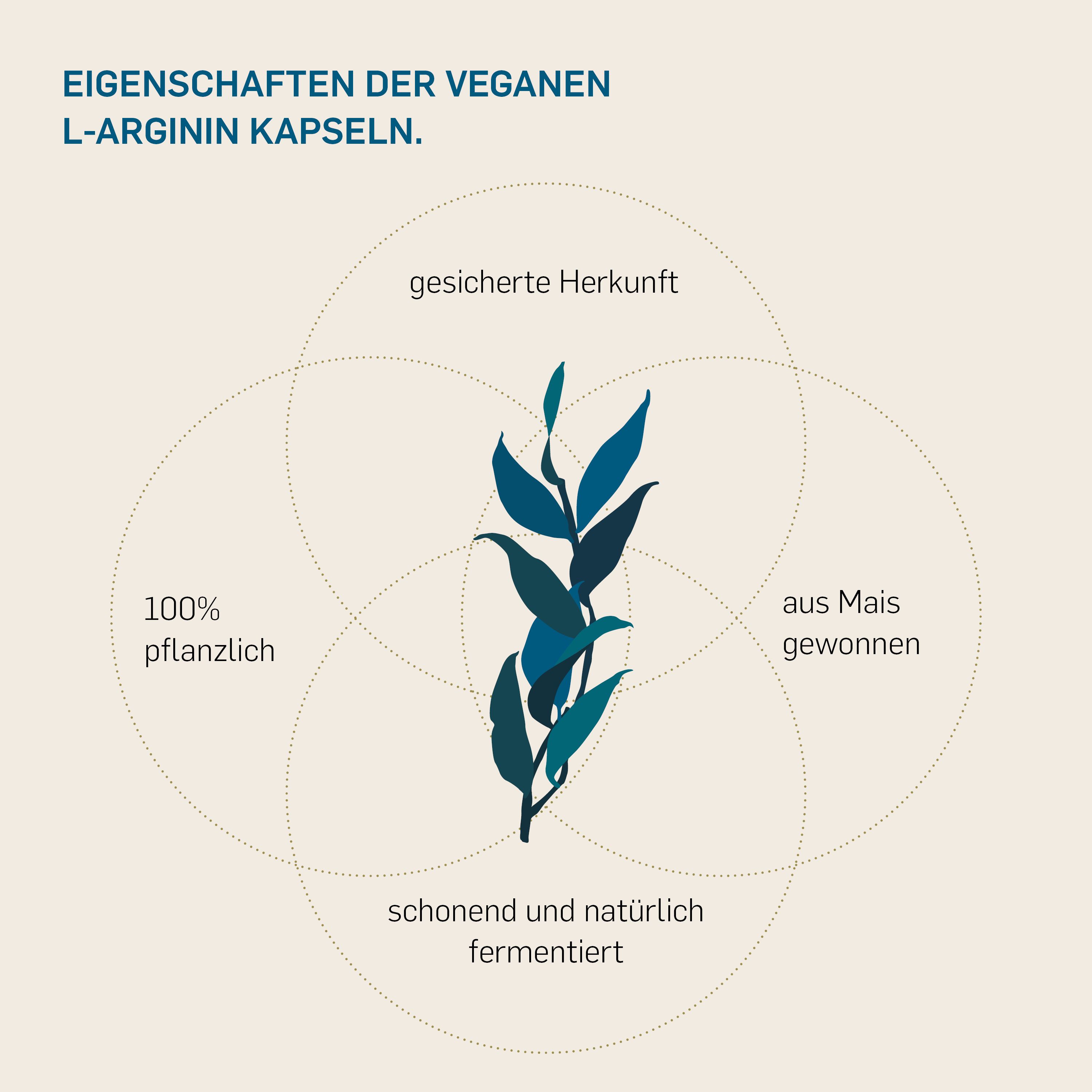 Grafik mit vier Kreisen und Text: Eigenschaften der veganen L-Arginin Kapseln. Zentrales Blattmotiv. Text: 100% pflanzlich, aus Mais gewonnen.
