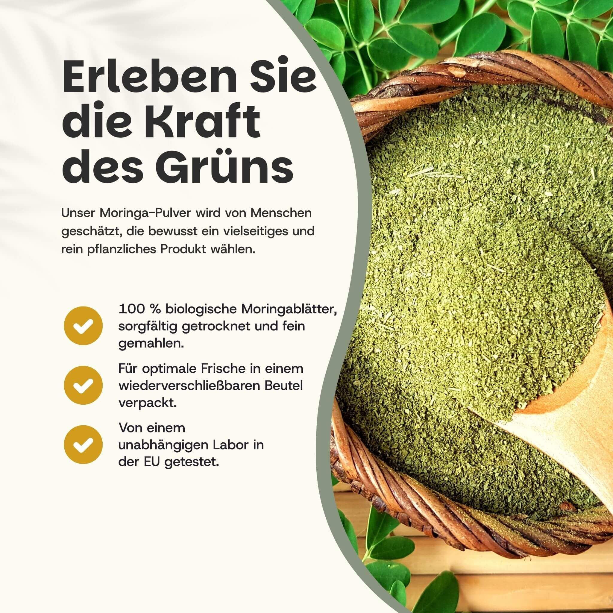 Grünes Moringa-Pulver in einem Korb. Text: 100% biologische Blätter, getrocknet und gemahlen. EU-Zertifizierung.