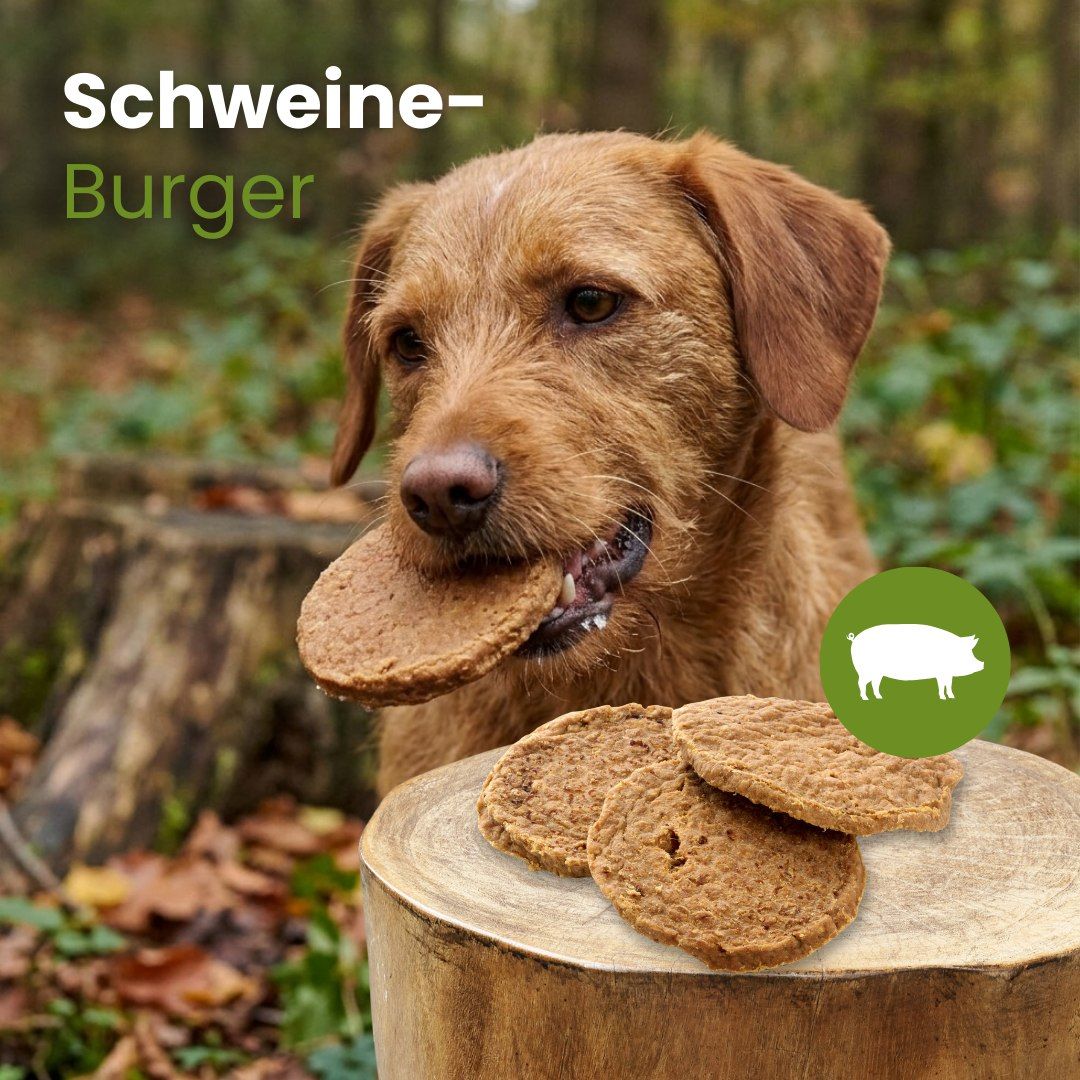 Drei runde Schweine-Burger Hundekauartikel, 100% Schwein, ohne Zusätze.