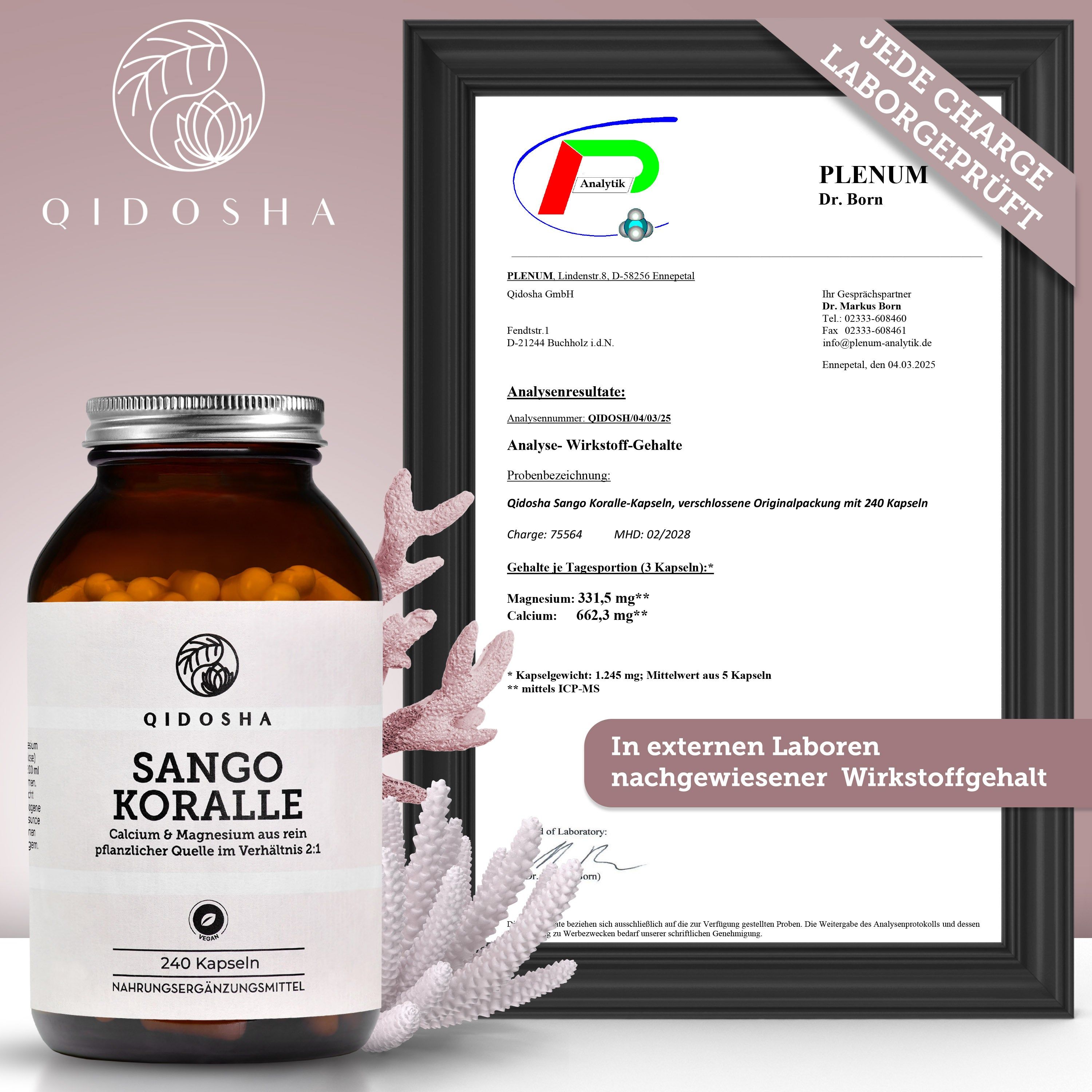 Braune Flasche mit Kapseln. Aufschrift: QIDOSHA Sango Koralle, 240 Kapseln. Zertifikat im Rahmen. Text: Laborgeprüft. Analyseergebnis.
