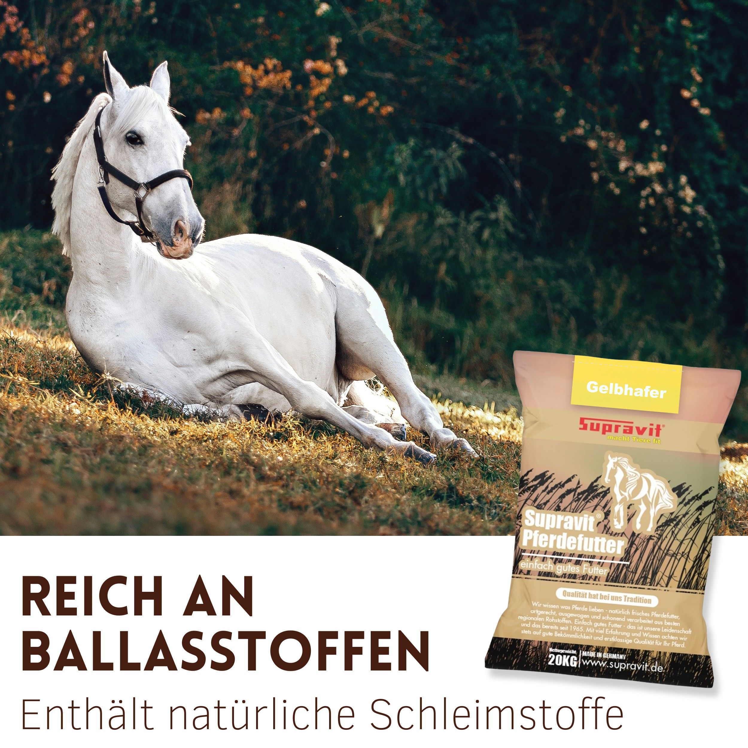 Weißes Pferd liegt auf Wiese. Rechts: Packung Supravit Hafer, gelb, mit Pferd-Silhouette. Text: Reich an Ballaststoffen.