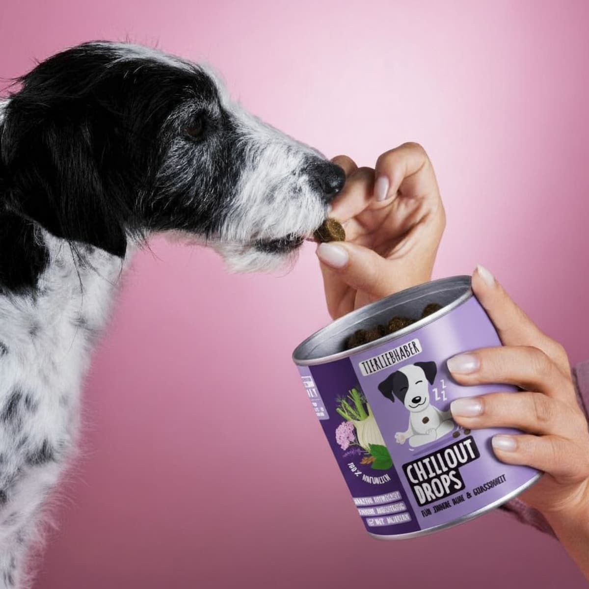 Hund frisst Leckerli aus Dose. Dose mit lila Etikett. Aufschrift: Tierliebhaber Chillout Drops. Leckerlis in Würfelform.