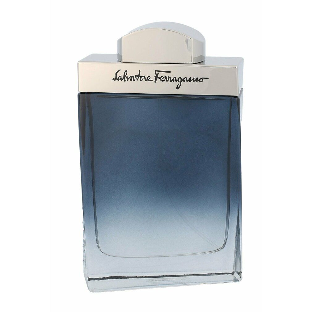 Salvatore Ferragamo Subtil Pour Homme Eau de Toilette  Spray