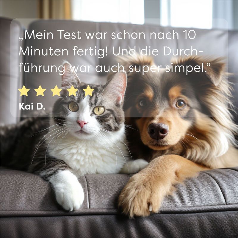 Katze und Hund auf Couch. Zitat: Test war nach 10 Minuten fertig. Sterne-Bewertung. Text: Kai D.