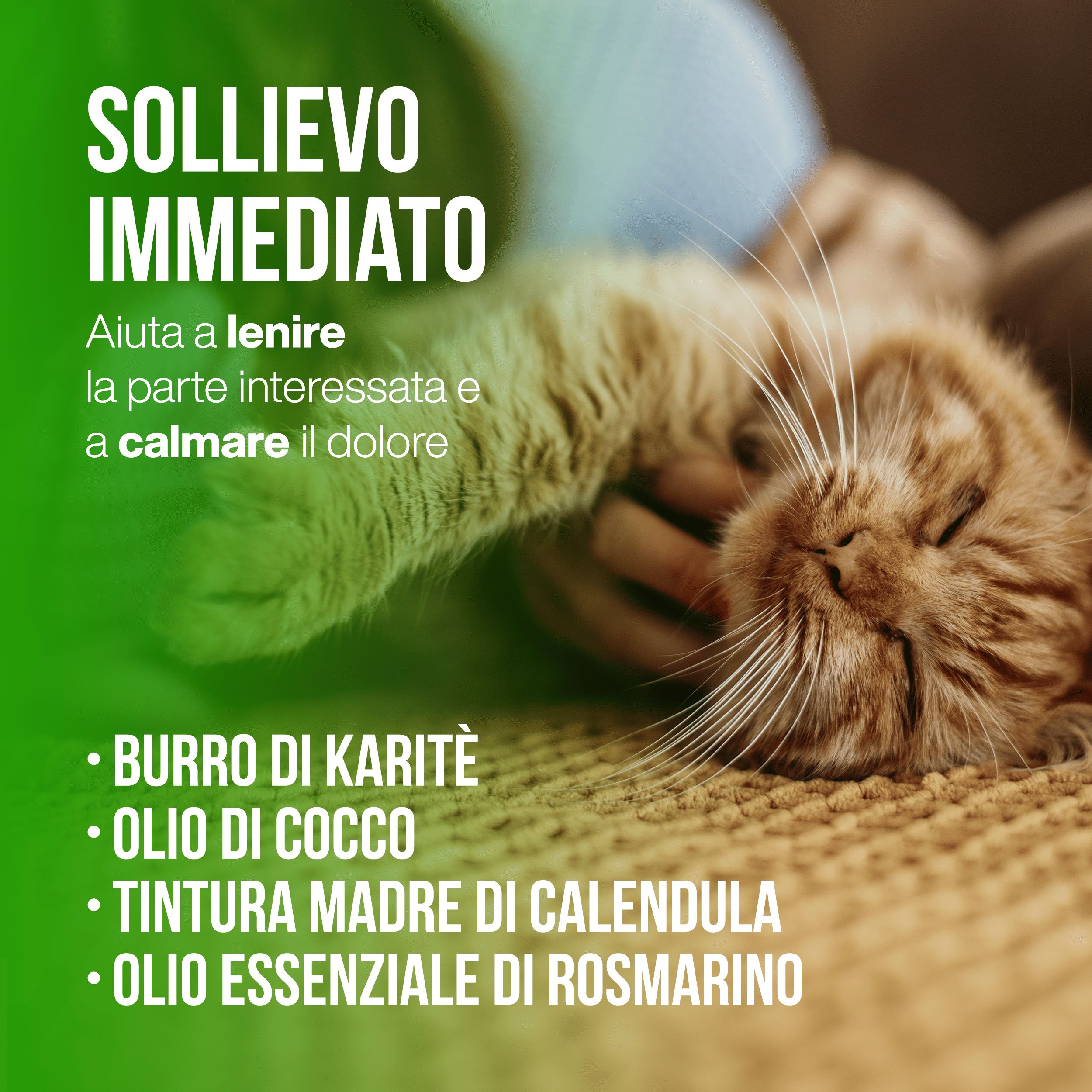 Primo piano di un gatto sdraiato su una coperta. Il testo recita "Sollievo immediato". Contiene burro di karité, olio di cocco, tintura madre di calendula e olio essenziale di rosmarino. Aiuta a lenire la zona interessata.