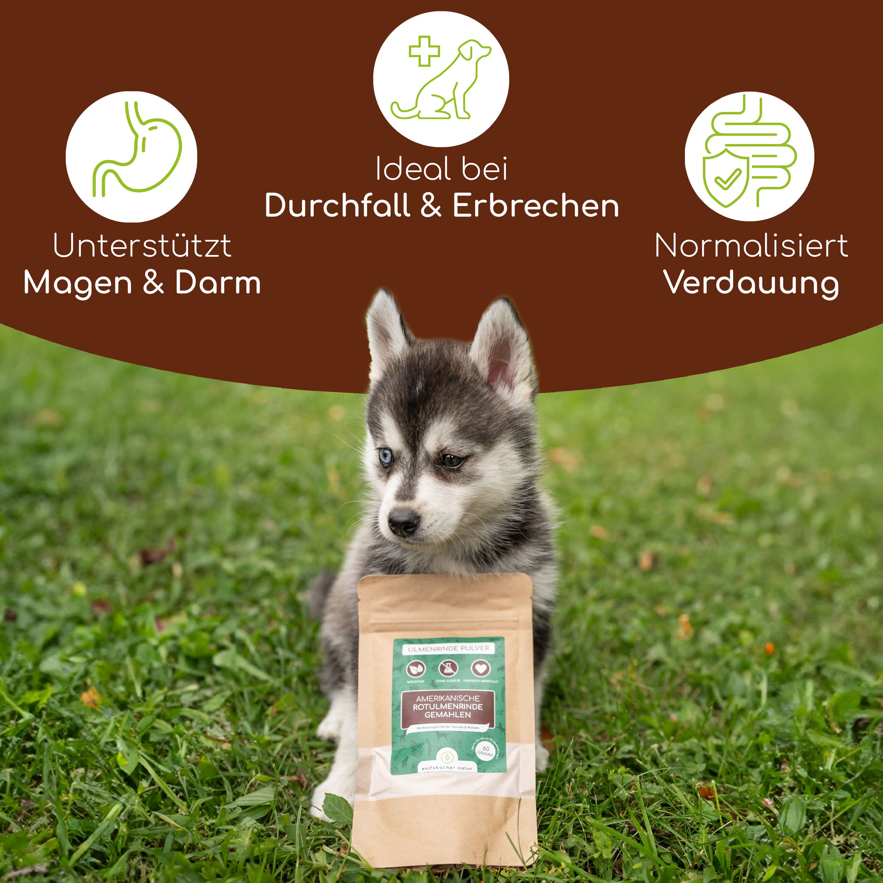 Welpe mit Beutel Ulmenrinde Pulver. Text: Unterstützt Magen & Darm, Ideal bei Durchfall & Erbrechen, Normalisiert Verdauung.