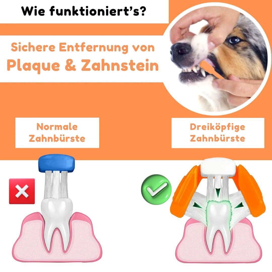 Vergleich von Zahnbürsten. Text: Normale Zahnbürste, Dreiköpfige Zahnbürste. Illustrationen von Zähnen und Zahnfleisch. Text: Sichere Entfernung von Plaque & Zahnstein.