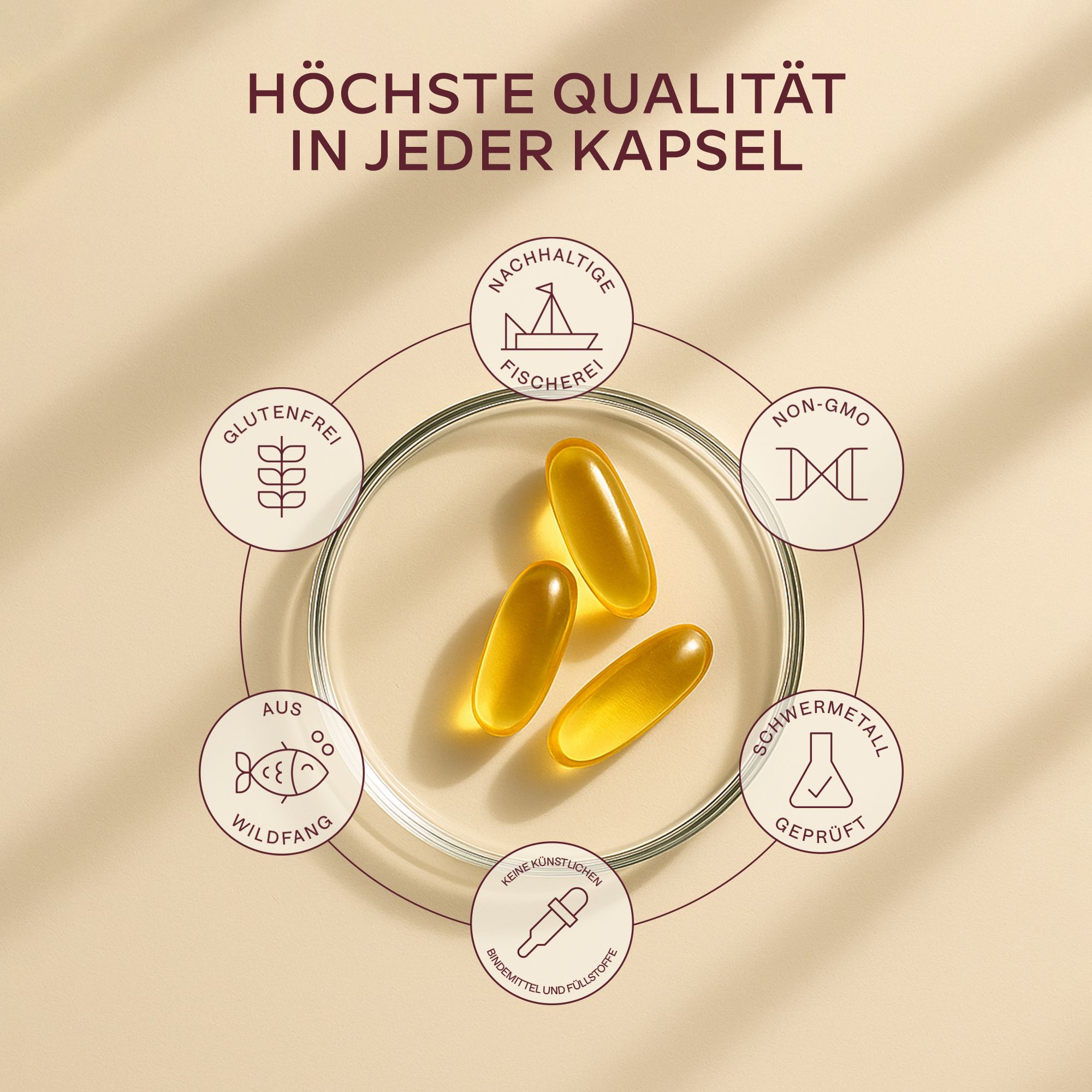 Grafik mit Icons und Omega-3-Kapseln. Icons für Qualität und Nachhaltigkeit.