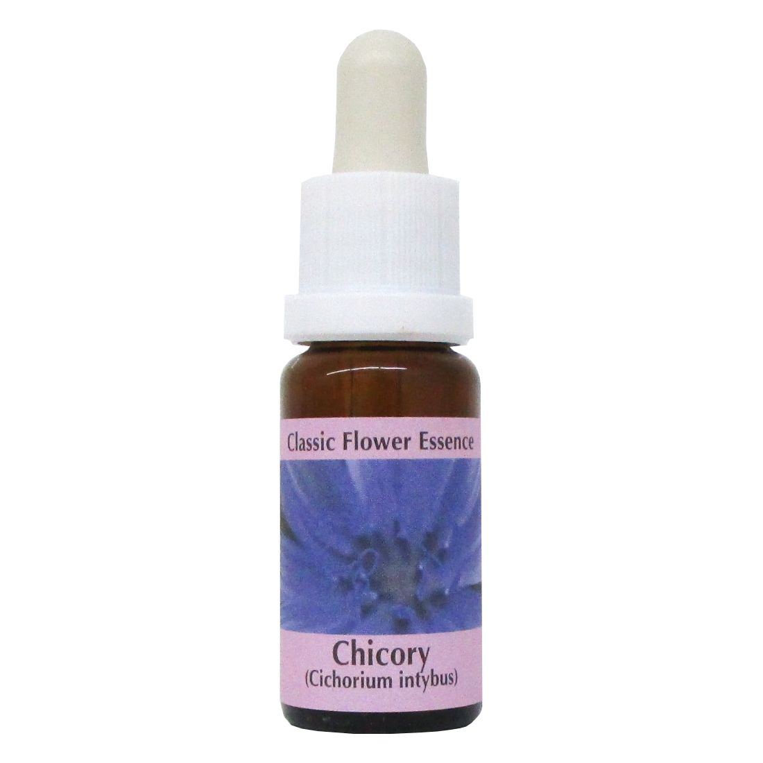 PHI Essences - Chicory Bachblüte Nr. 8
