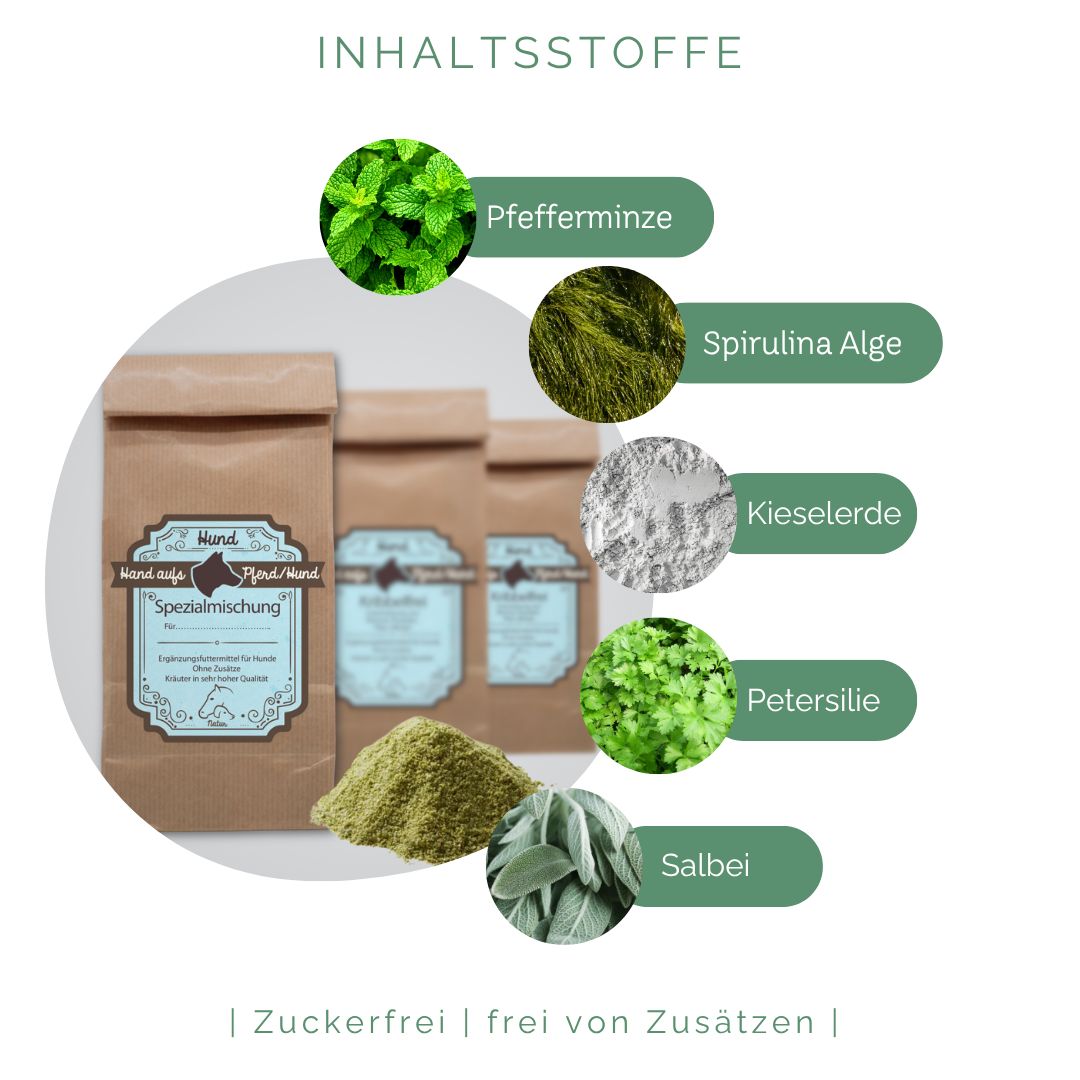 Braune Papiertüten mit Inhaltsstoffen: Pfefferminze, Spirulina Alge, Kieselserde, Petersilie, Salbei. Text: Zuckerfrei | frei von Zusätzen.