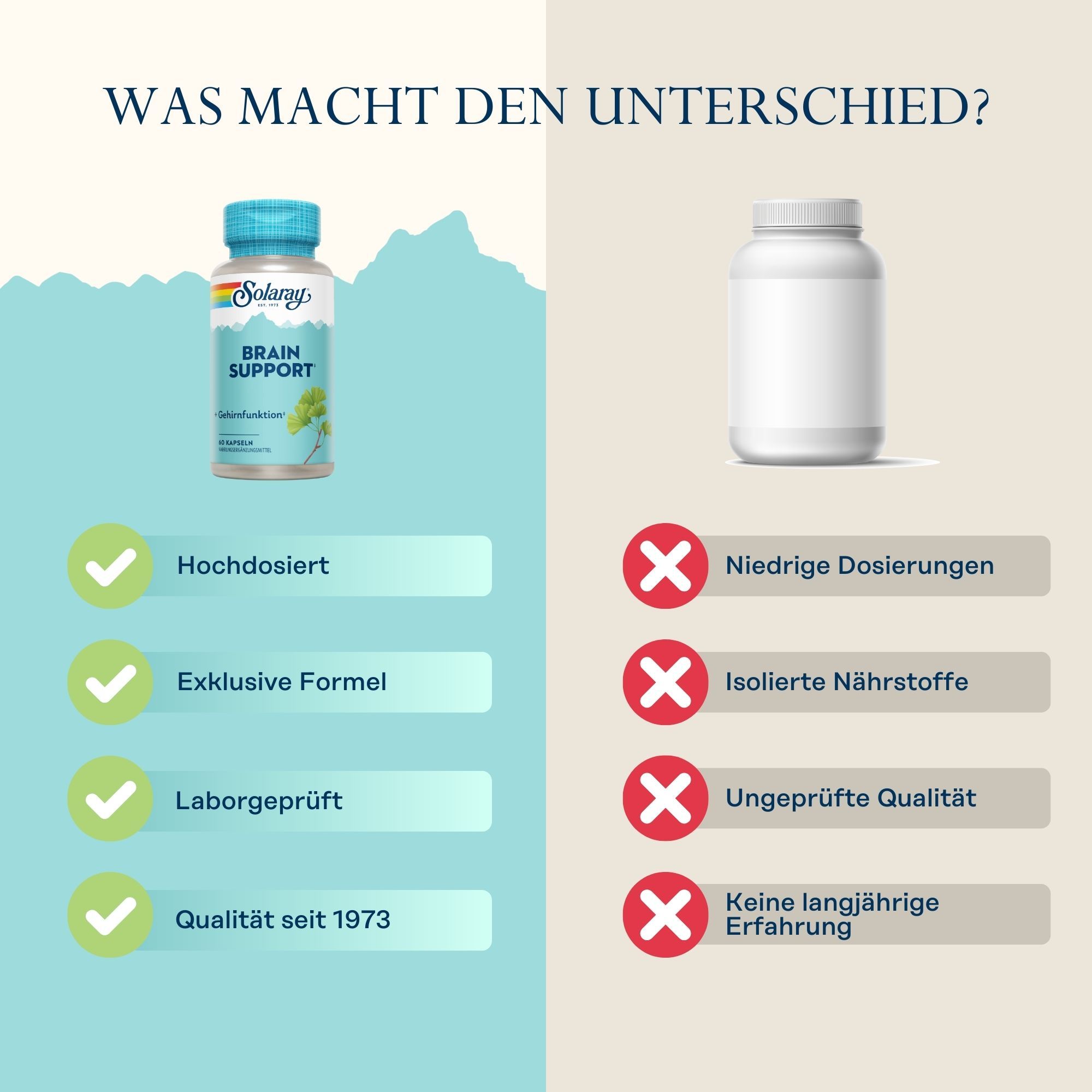 Solaray Brain Support