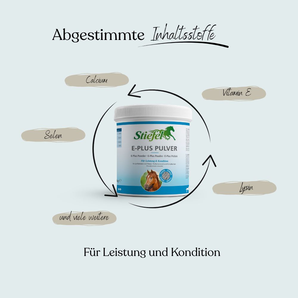 Weißes Produktglas mit grünem Deckel. Beschriftung: Stiefel E-Plus Pulver. Abbildung eines Pferdes. Text: Für Leistung und Kondition.