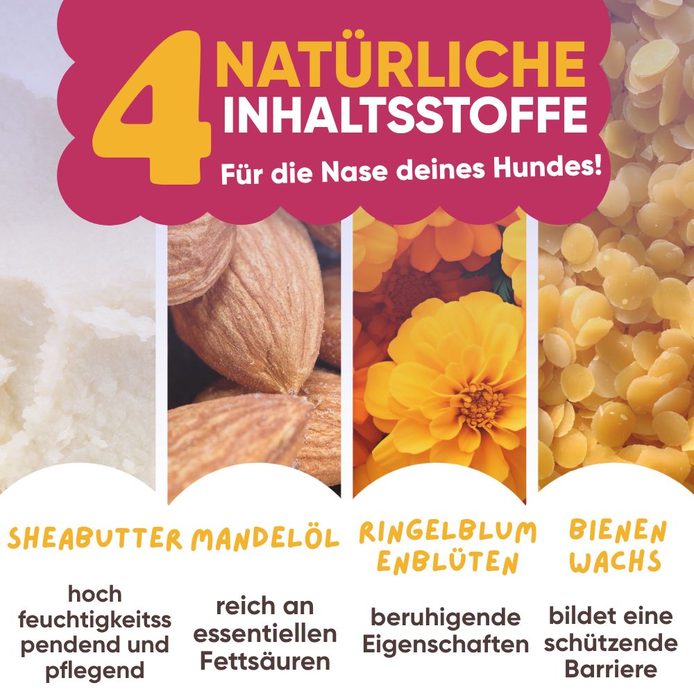 Vier natürliche Inhaltsstoffe für Hundenasen: Sheabutter, Mandelöl, Ringelblumen, Bienenwachs.