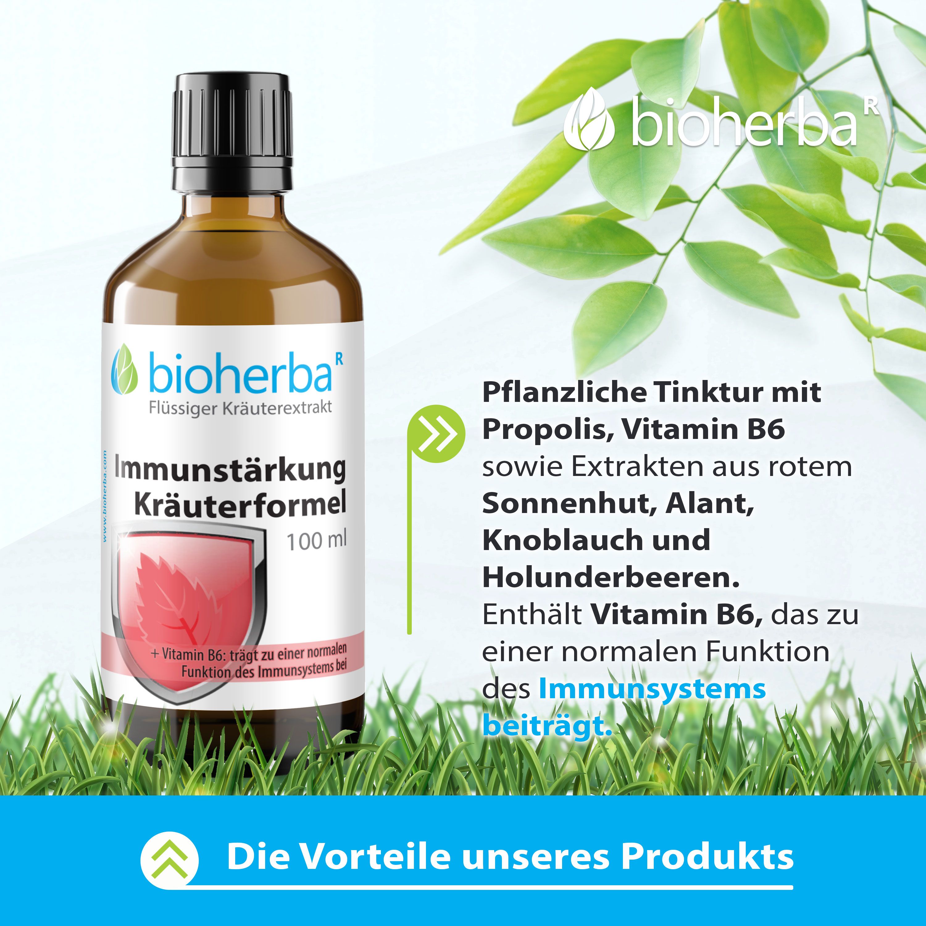 Braune Glasflasche mit schwarzem Deckel. Produktname: Immunität Kräuterformel. Enthält Vitamin B6. Hintergrund: grüne Blätter und Gras.