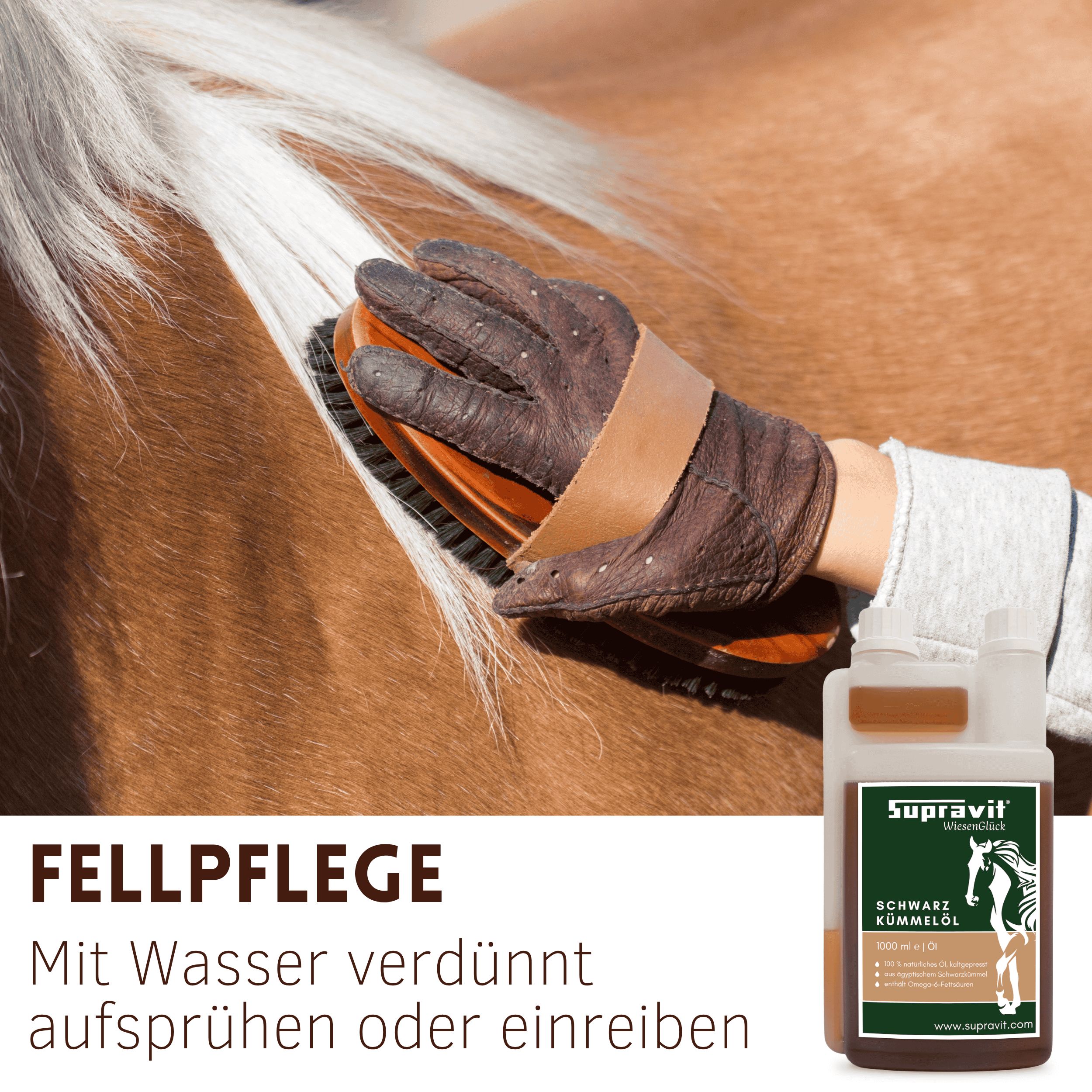 Hand bürstet Pferd. Rechts: Flasche mit Produktetikett, Text: Supravit Schwarzkümmelöl. Anwendung: Mit Wasser verdünnt aufsprühen oder einreiben.