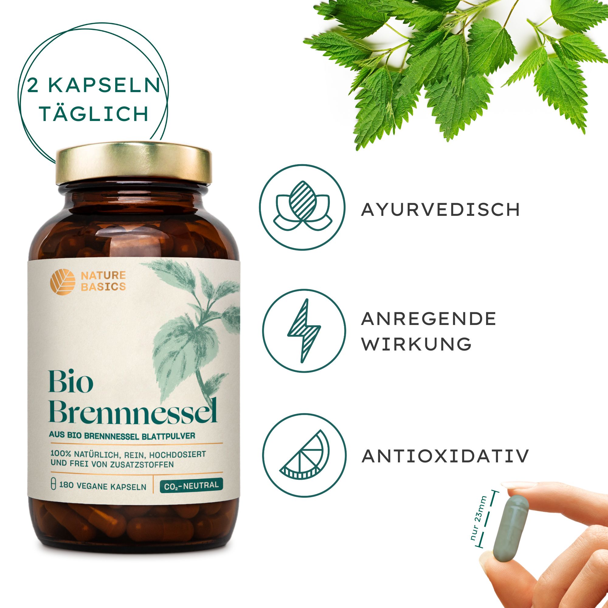 NATURE BASICS® - Hochwertiges Bio Brennnessel aus natürlichem Blattpulver