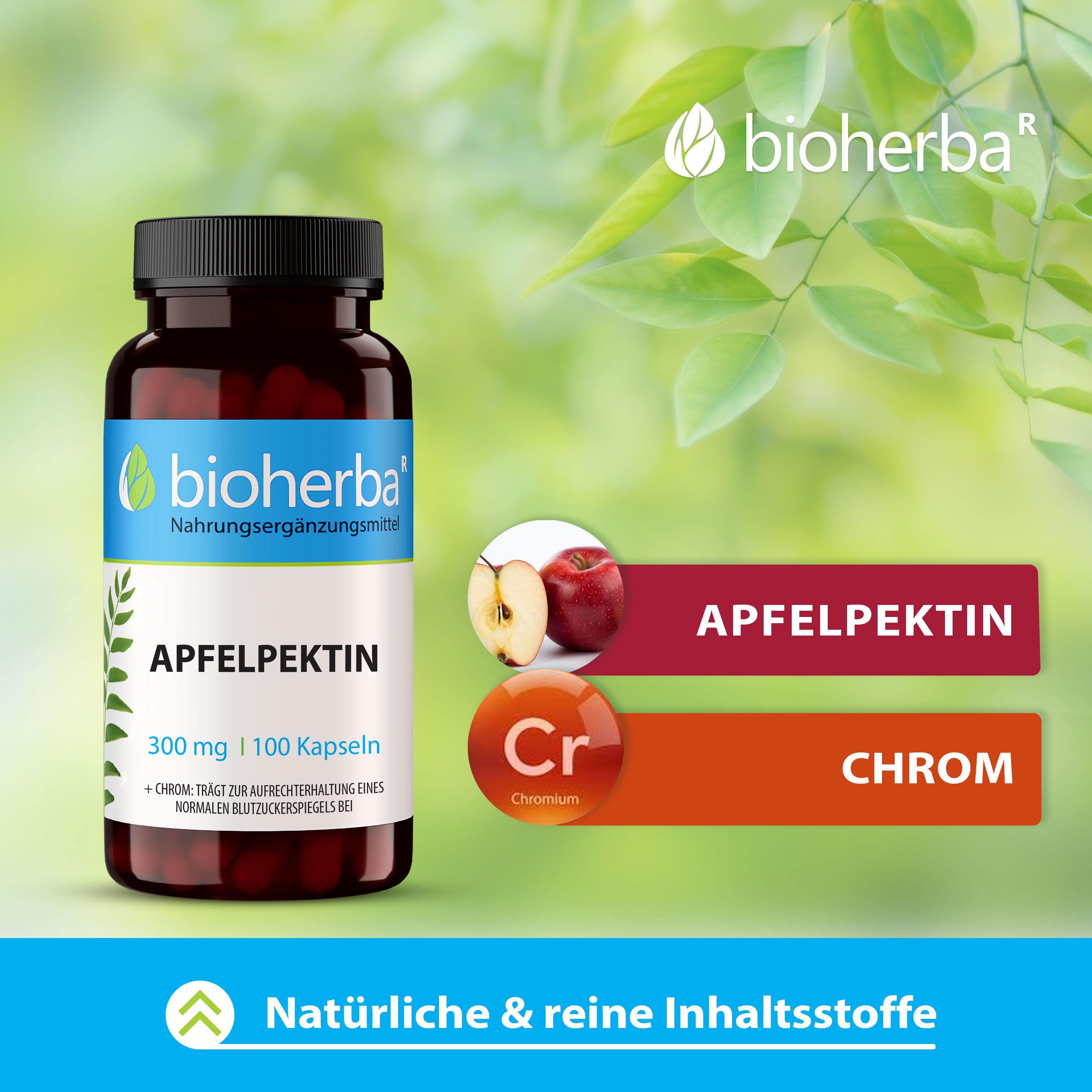 Bioherba Apfelpektin Kapseln