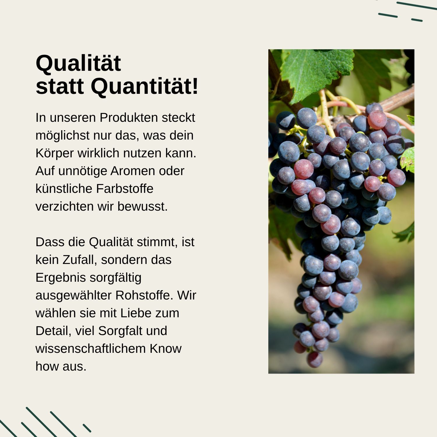 Vita Elements OPC Traubenkernextrakt Kapseln