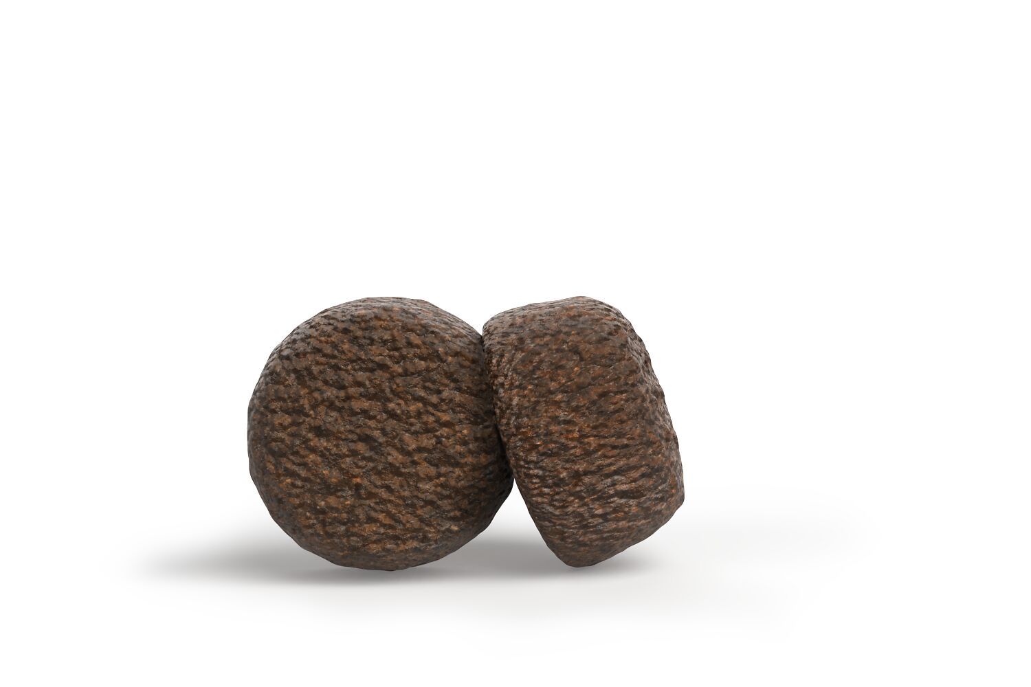 Zwei runde, braune Kroketten mit rauer Oberfläche, vor weißem Hintergrund.