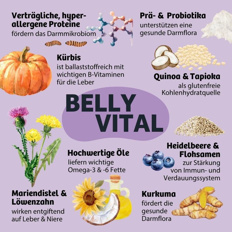 BugBell Trockenfutter BellyVital - Verdauung & Darmflora