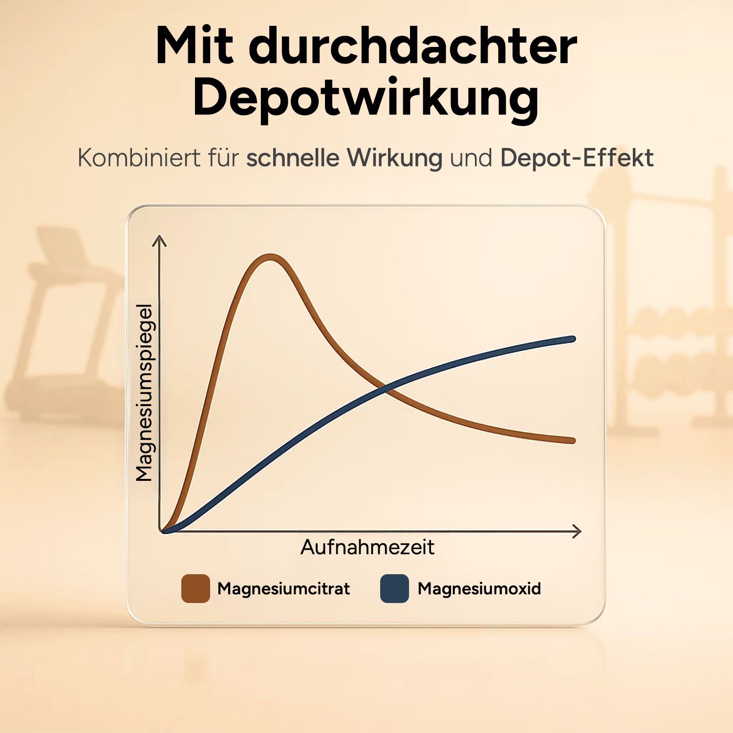 Diagramm mit zwei Linien. Text: Mit durchdachter Depotwirkung. Magnesiumcitrat und Magnesiumoxid. Aufnahmezeit und Magnesiumspiegel.
