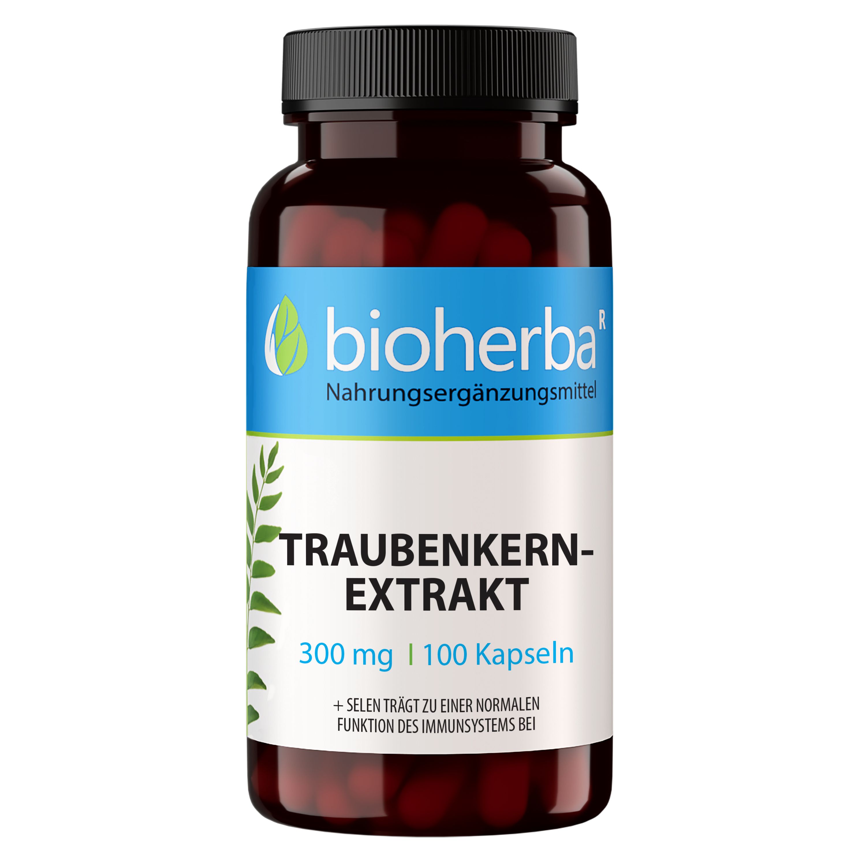 Bioherba Traubenkernextrakt Kapseln