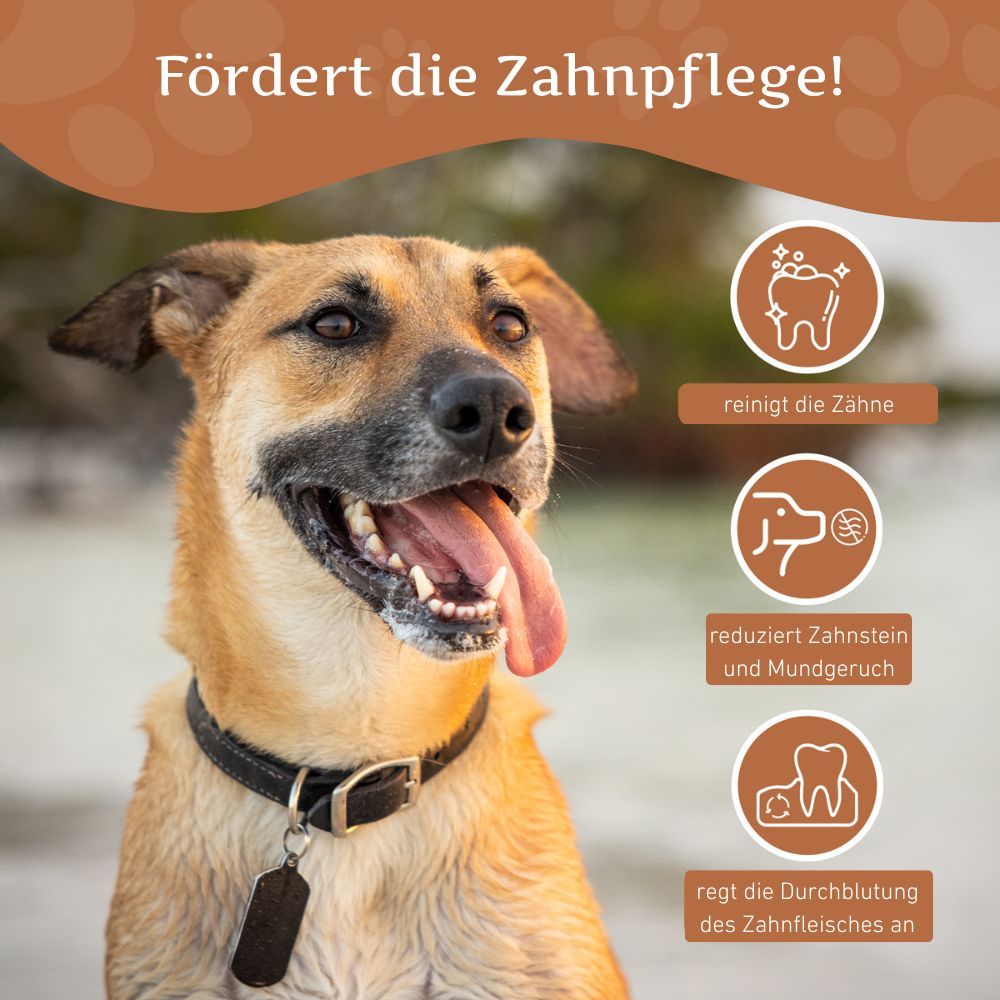 Hund mit Zunge.  Grafiken zeigen: Zahnreinigung, Reduzierung von Zahnstein, Anregung der Durchblutung des Zahnfleisches.