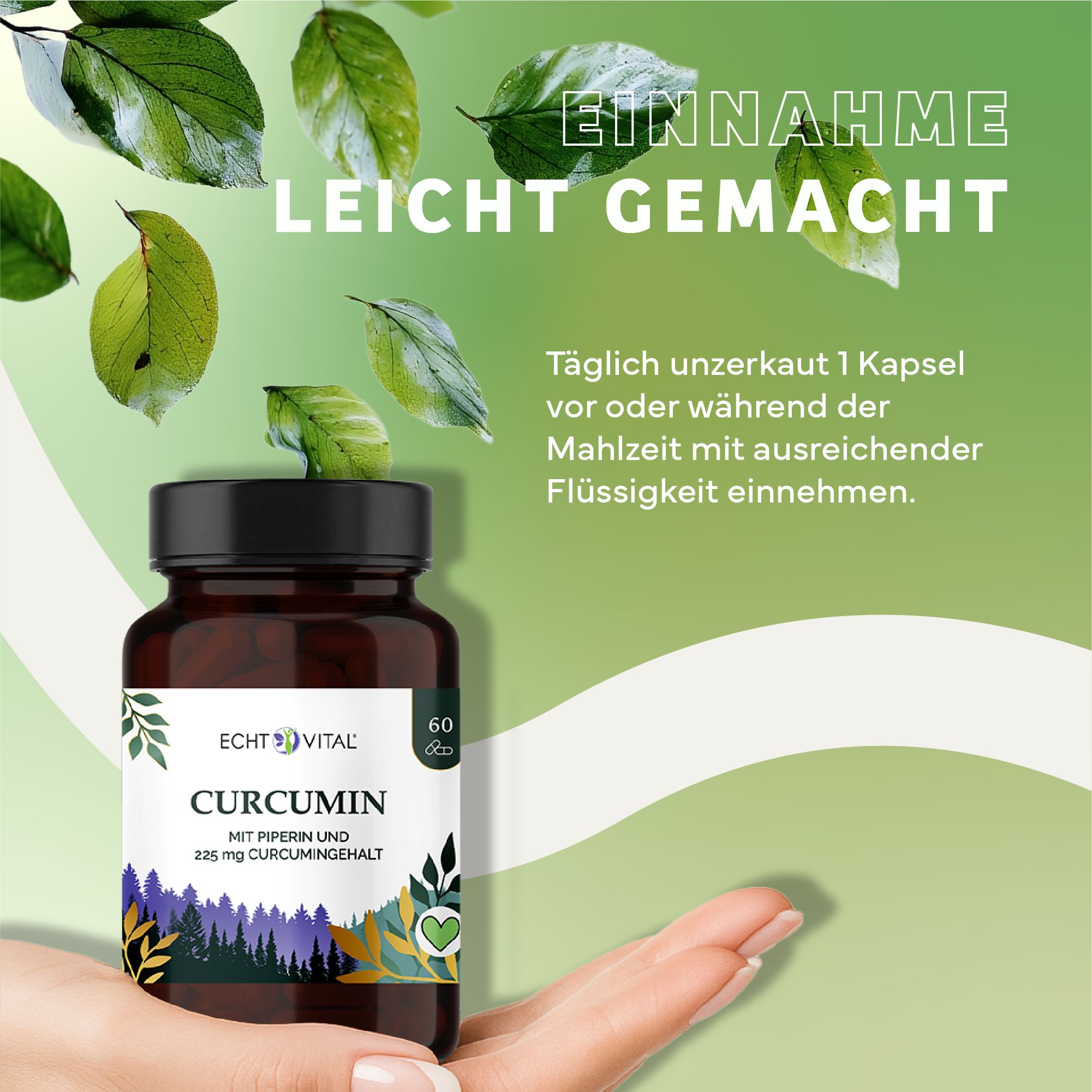 Braune Flasche mit schwarzem Deckel, gehalten von einer Hand. Aufschrift: Echt Vital Curcumin. Etikett mit Produktinformationen. Hintergrund grün.