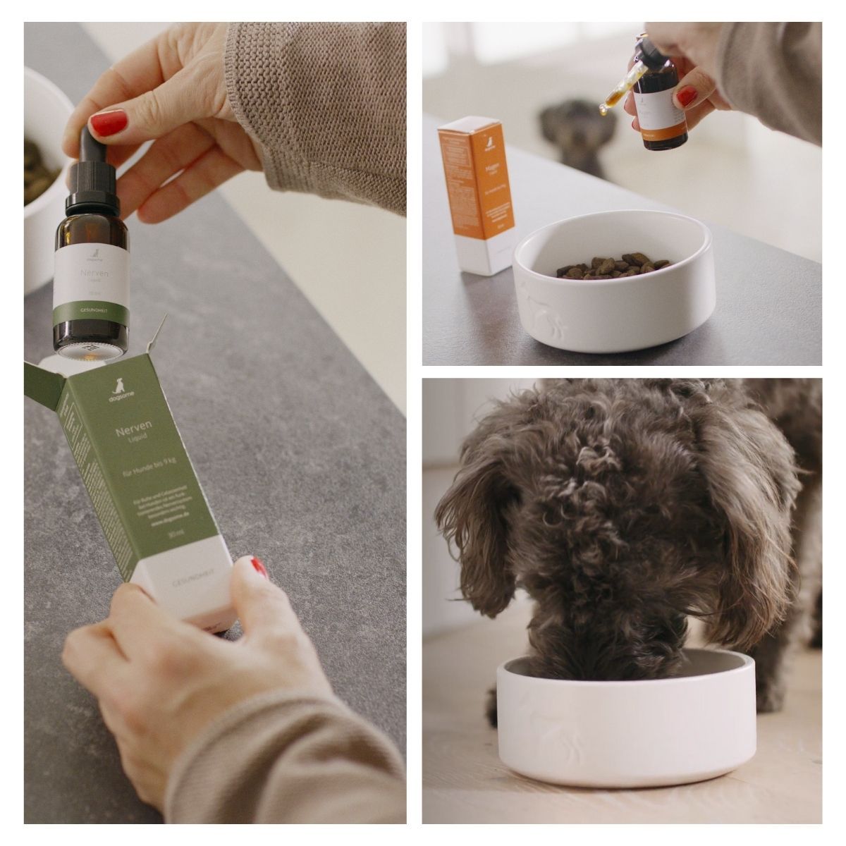 dogsome Nerven Liquid