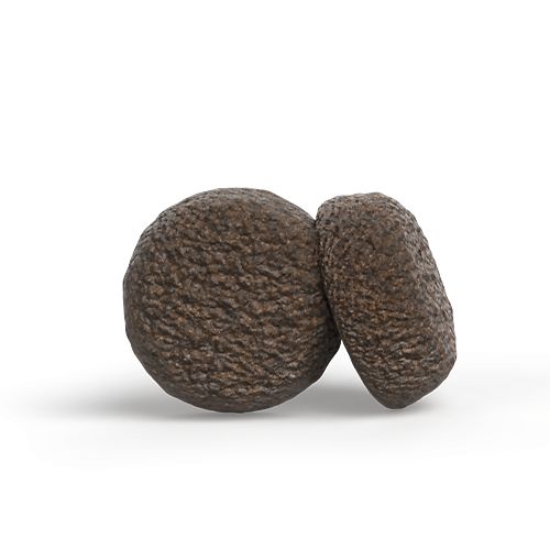 Zwei runde, dunkelbraune Hundefutter-Pellets, eine leicht versetzt.