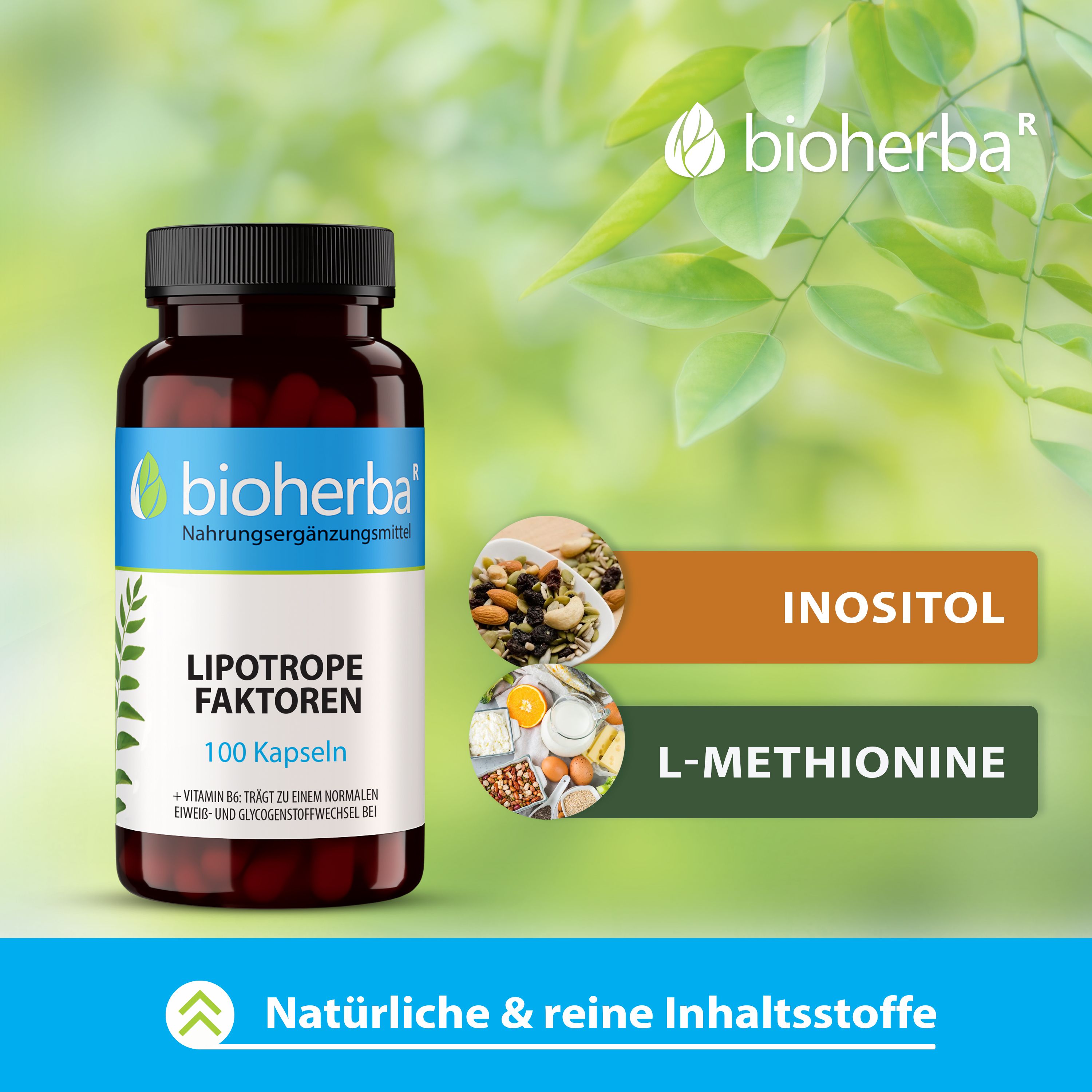 Braune Flasche mit schwarzen Deckel. Etikett mit "Bioherba" und "Lipotrope Faktoren 100 Kapseln".