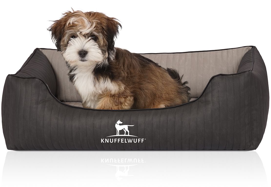 Hundebett mit Hund. Grau-beiges orthopädisches Bett mit Logo. Ein kleiner Hund sitzt im Bett.