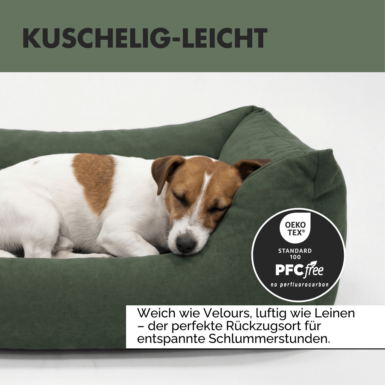 Grünes Hundebett. Hund liegt darin. Text: Kuschelig-leicht. Text: Weich wie Velours, luftig wie Leinen. Oeko-Tex-Siegel.