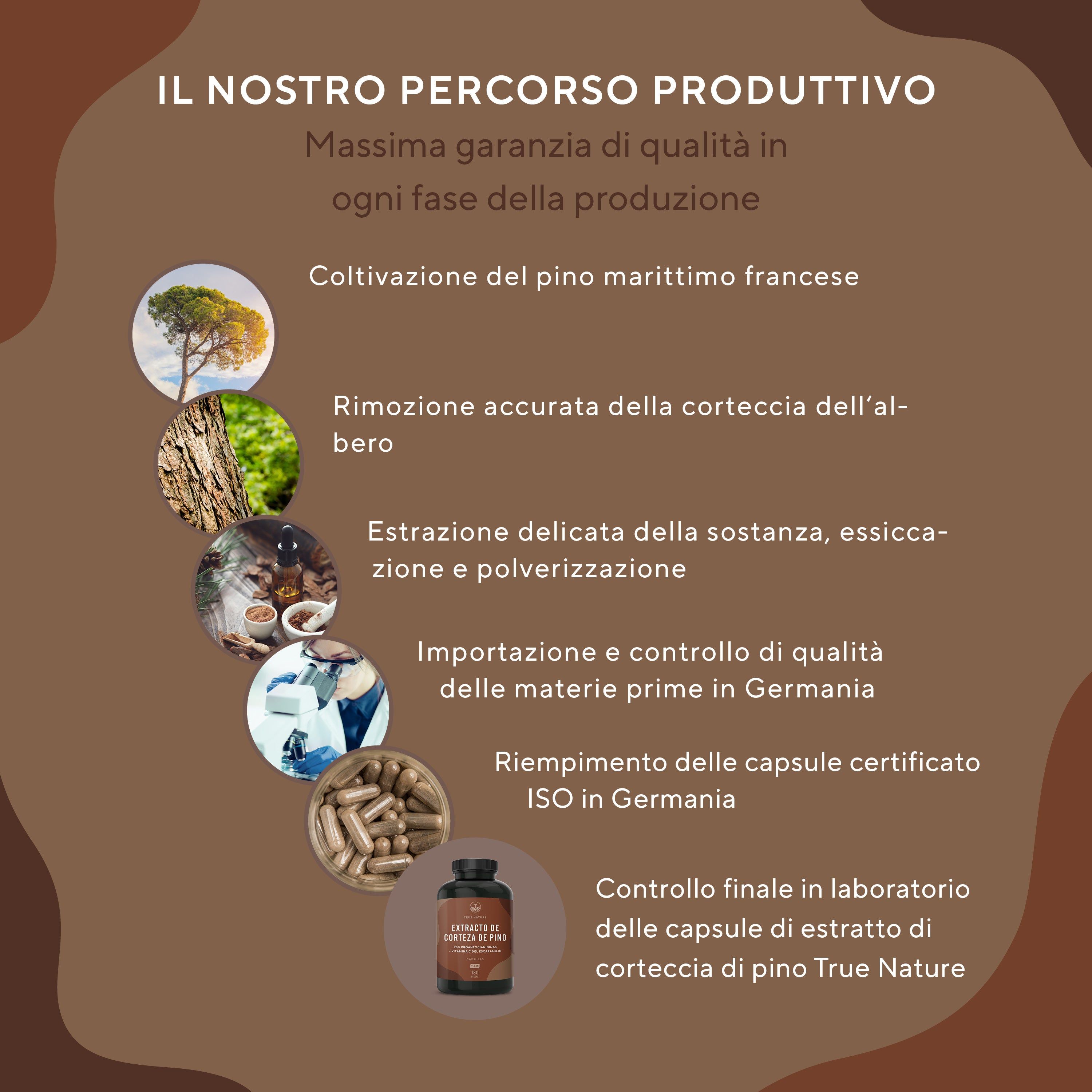 Grafica con prodotto e icone. Testo: Colivazione del pino marittimo francese, rimozione accurata della corteccia dell'albero, estrazione delicata, importazione e controllo di qualità, riempimento delle capsule, controllo finale.