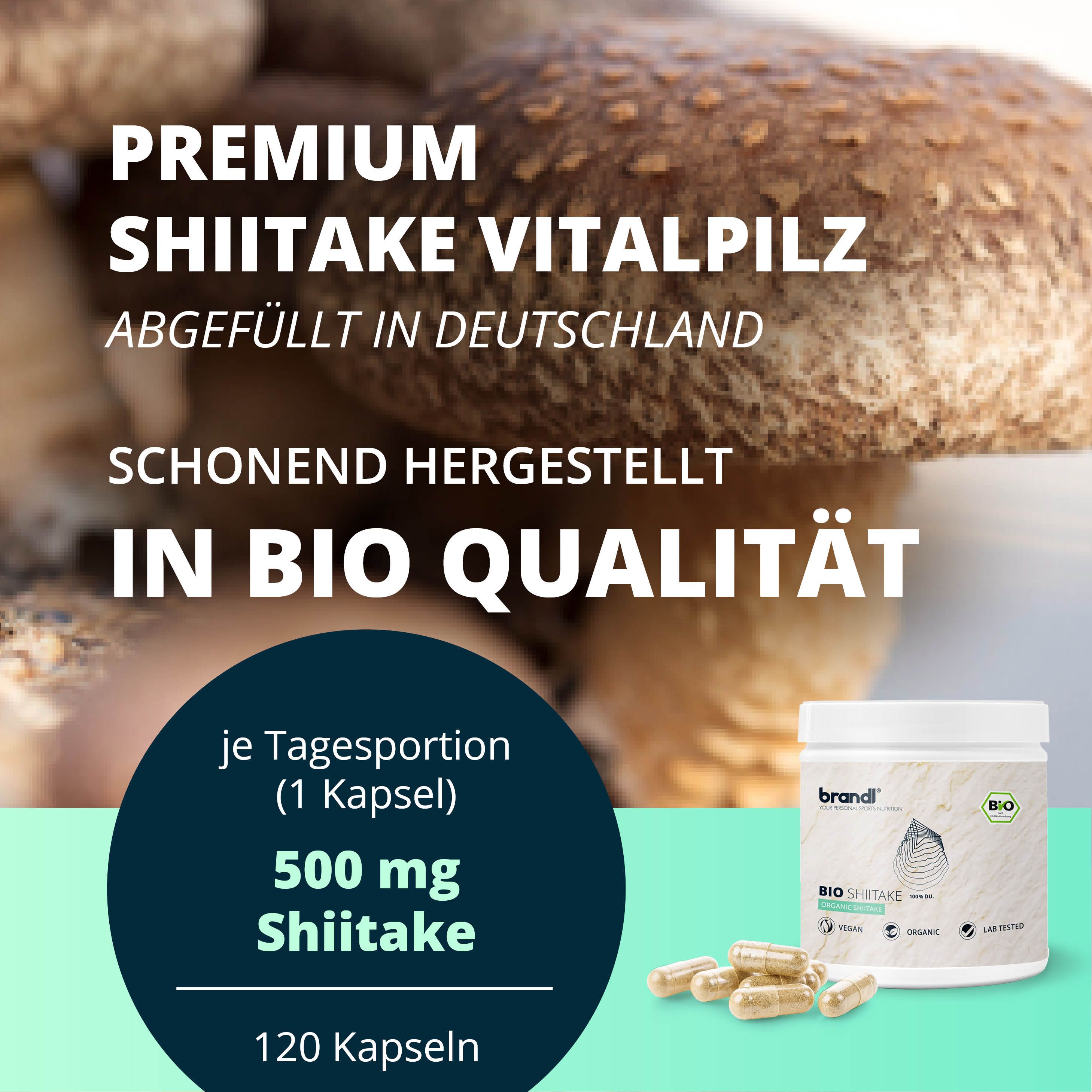 brandl® Bio Shiitake Vitalpilz 240 St Kapseln