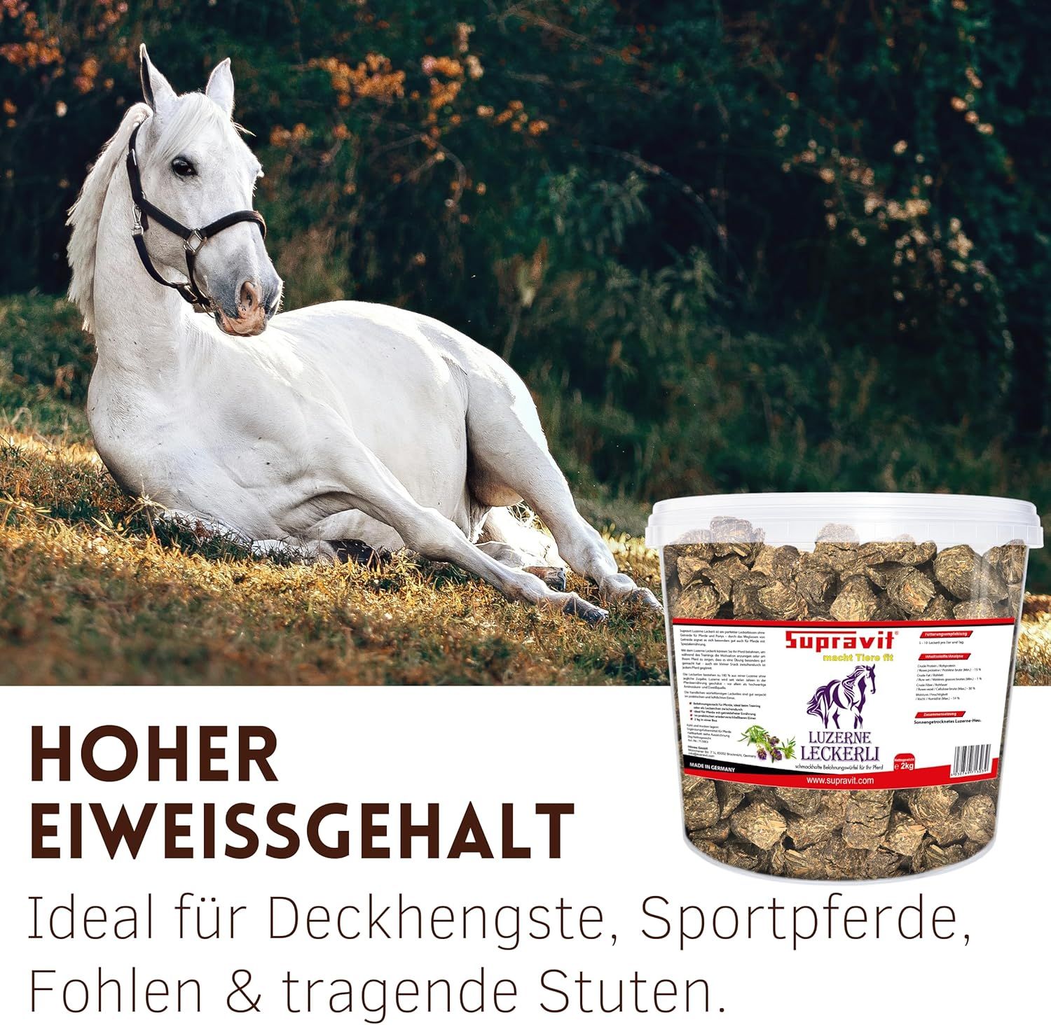 Eimer mit Supravit Luzerne Leckerli neben einem weißen Pferd. Text: Hoher Eiweißgehalt. Ideal für Deckhengste, Sportpferde, Fohlen & tragende Stuten.