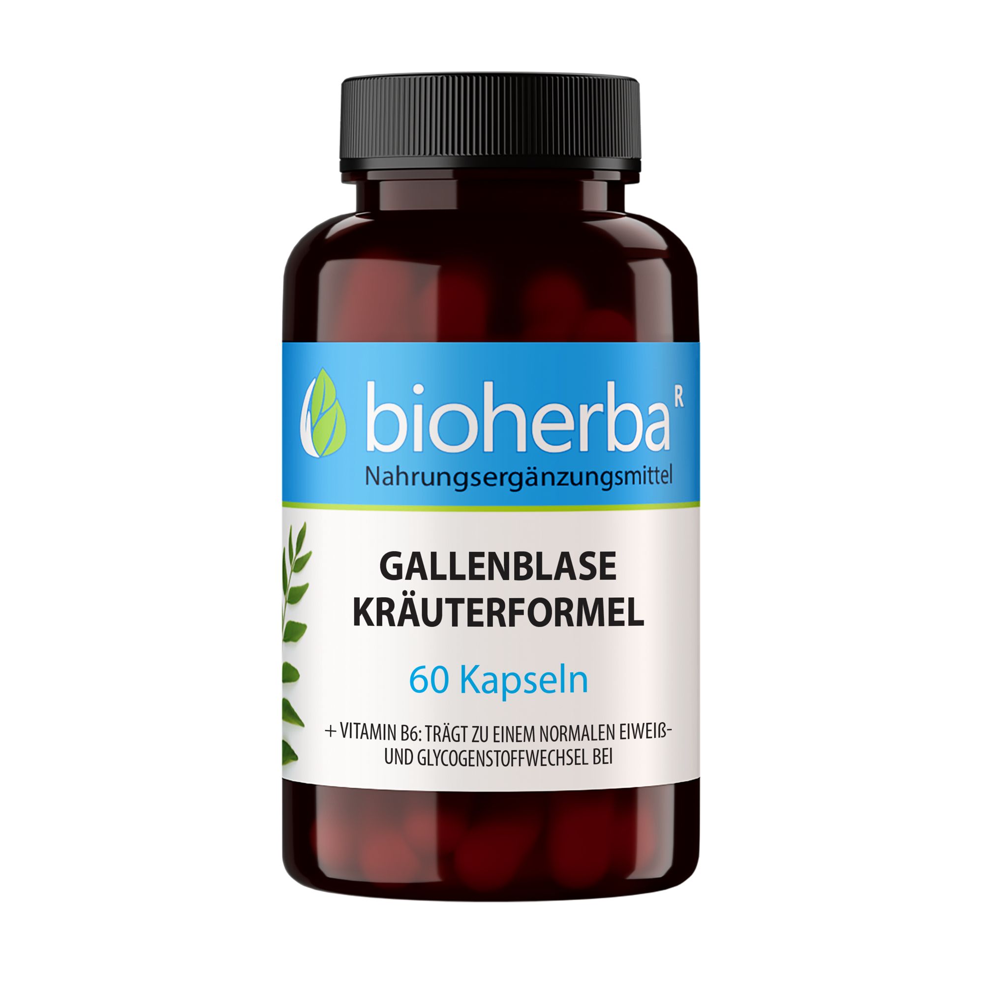 Gallenblase Kräuterformel Kapseln