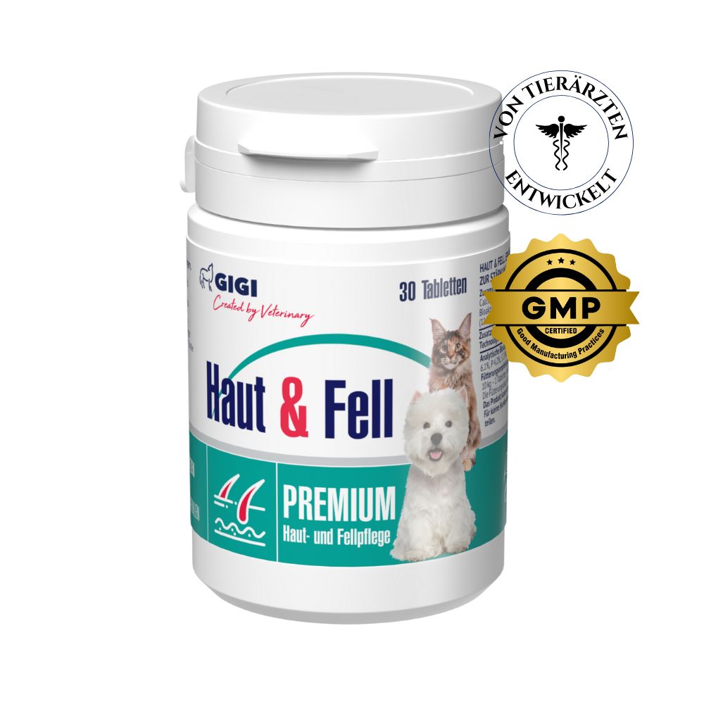 Weiße Tabletten-Dose mit Aufschrift 'Haut & Fell'. Logo 'GIGI'. Siegel 'Von Tierärzten entwickelt' und 'GMP'.