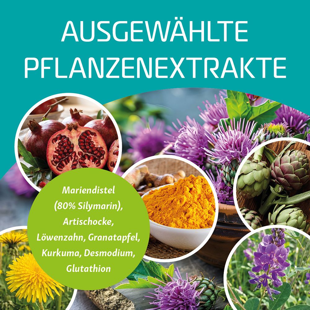 NutriLife Liver Detox mit Mariendistel