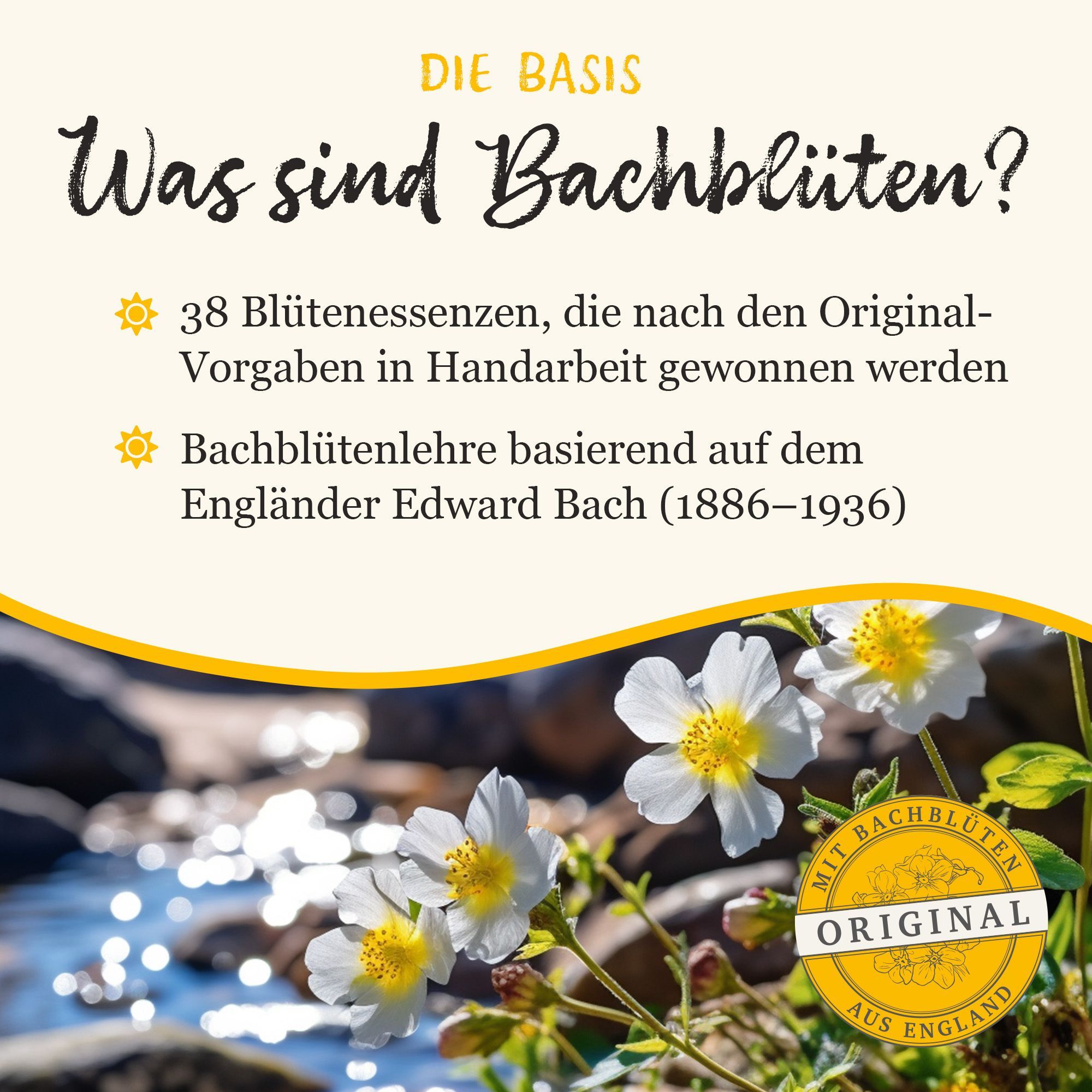 Bachblüten Murnauer Original Tropfen nach Dr. Bach