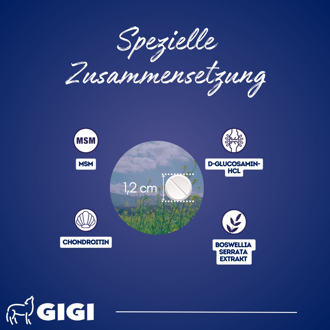 GIGI VET Katzen Gelenke & Knochen