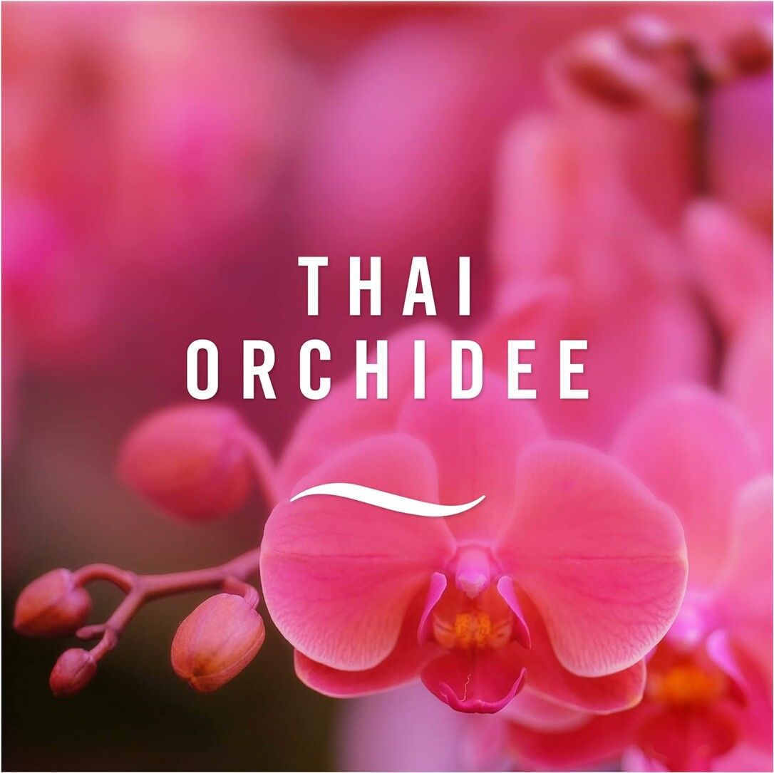 Nahaufnahme einer rosa Orchidee. Text: Thai Orchidee. Weißer Bogen.