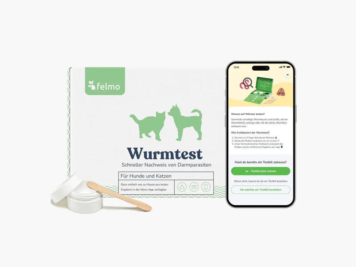 felmo Wurmtest