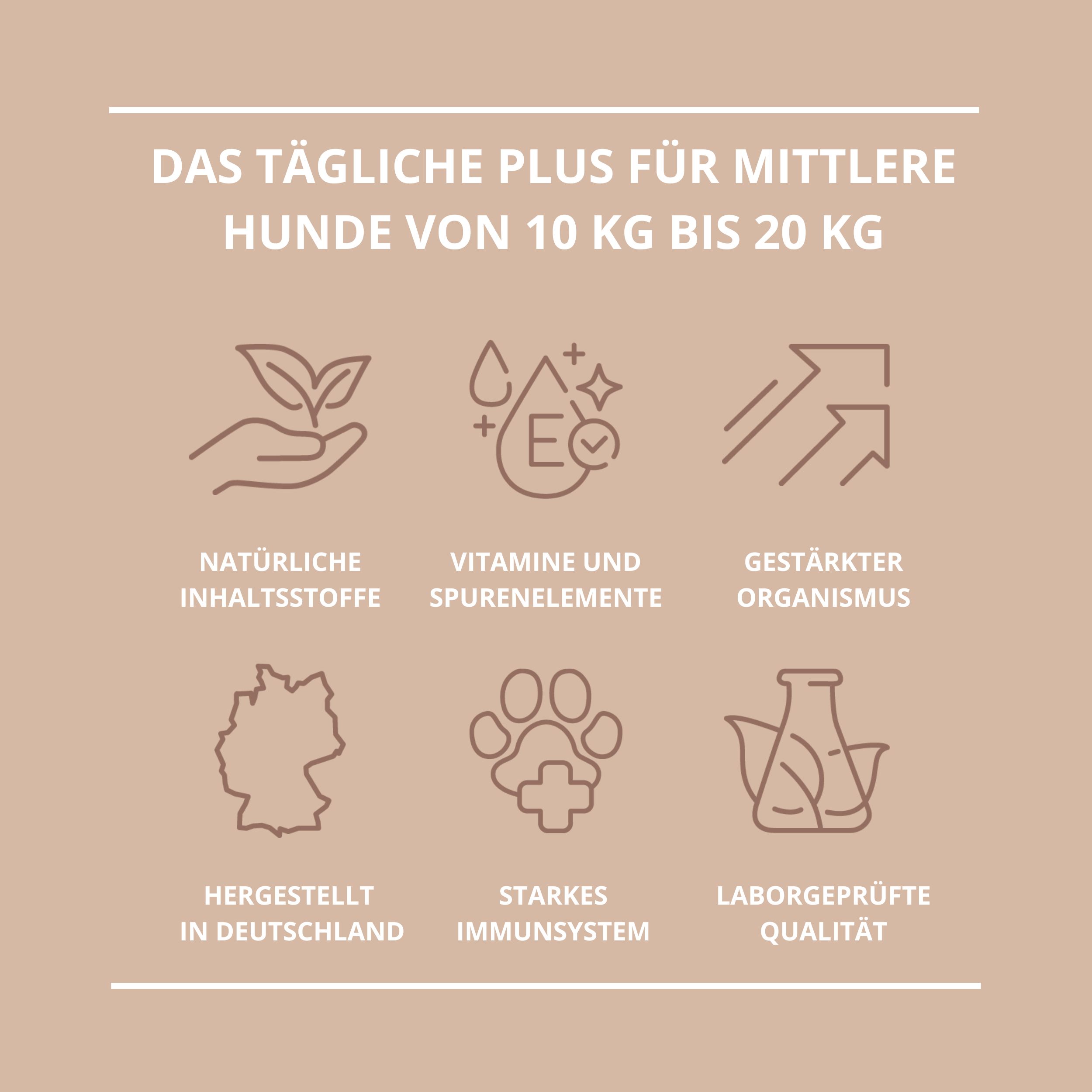 Grafik mit Icons und Text. Überschrift: Das tägliche Plus für mittlere Hunde von 10 kg bis 20 kg. Icons für Inhaltsstoffe, Vitamine, etc.