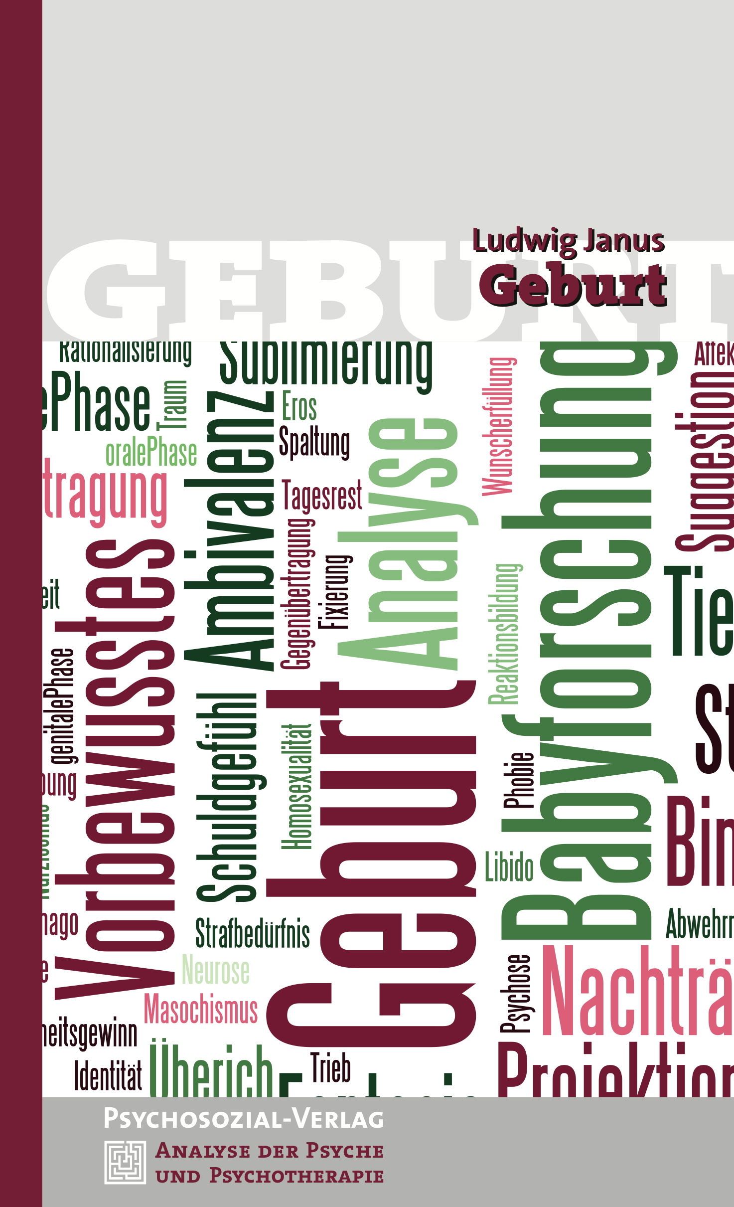 Buchcover mit dem Titel "Geburt" von Ludwig Janus. Wörter wie "Analyse", "Babyforschung" und "Psychosozial-Verlag" sind sichtbar.