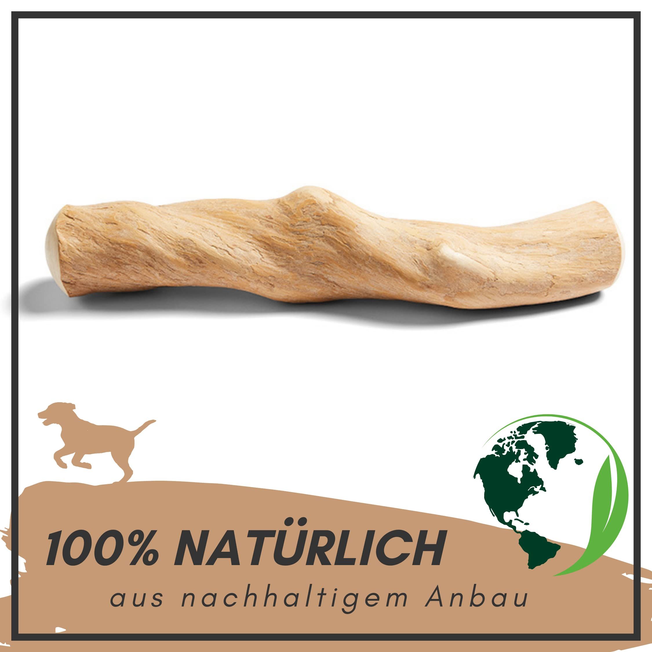 Natürlicher Kauknochen aus Kaffeeholz. Hellbraun, länglich, mit unregelmäßiger Form. Text: 100% natürlich, aus nachhaltigem Anbau.