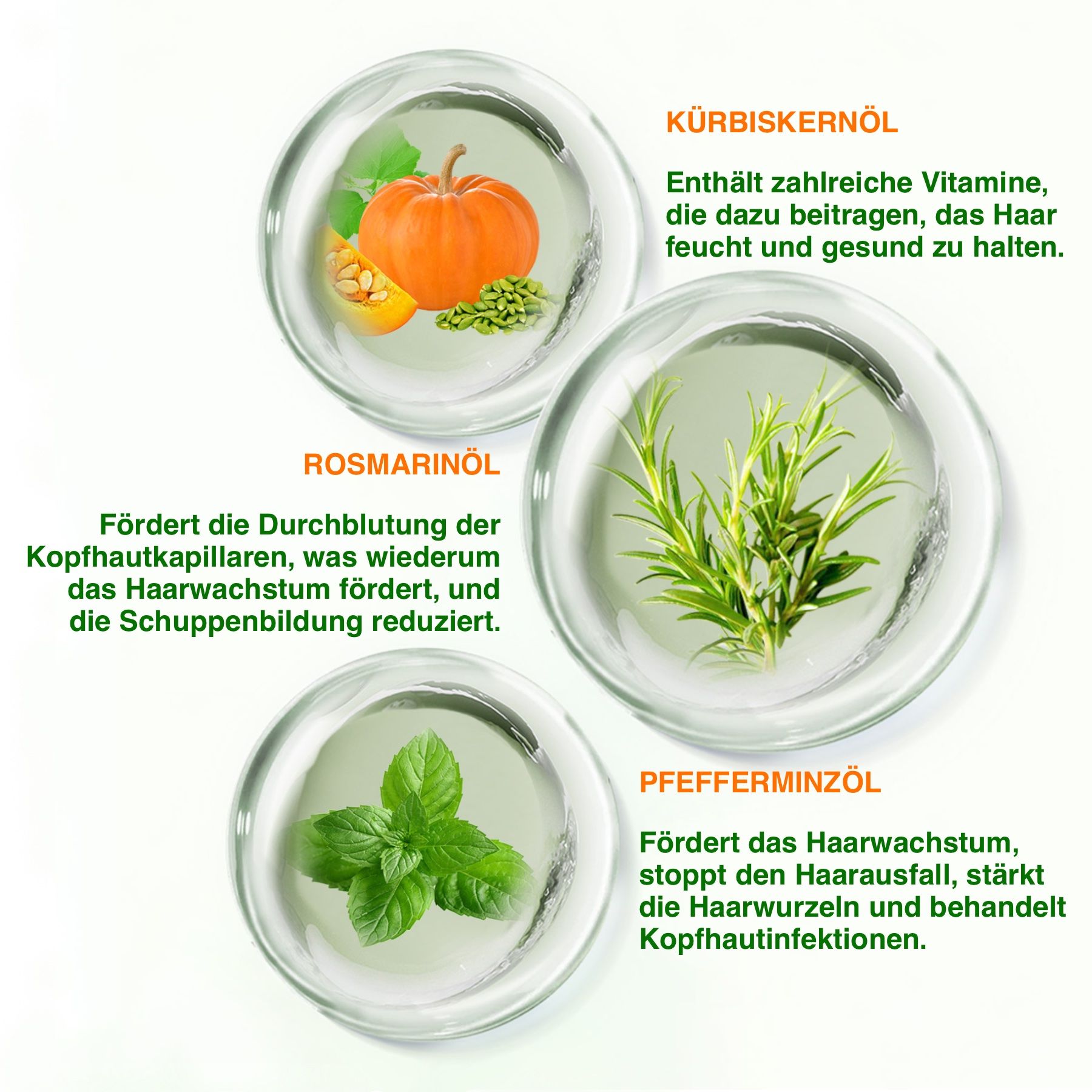 Drei Kreise mit Inhaltsstoffen: Kürbiskernöl, Rosmarinöl und Pfefferminzöl. Text beschreibt die Vorteile für das Haar.