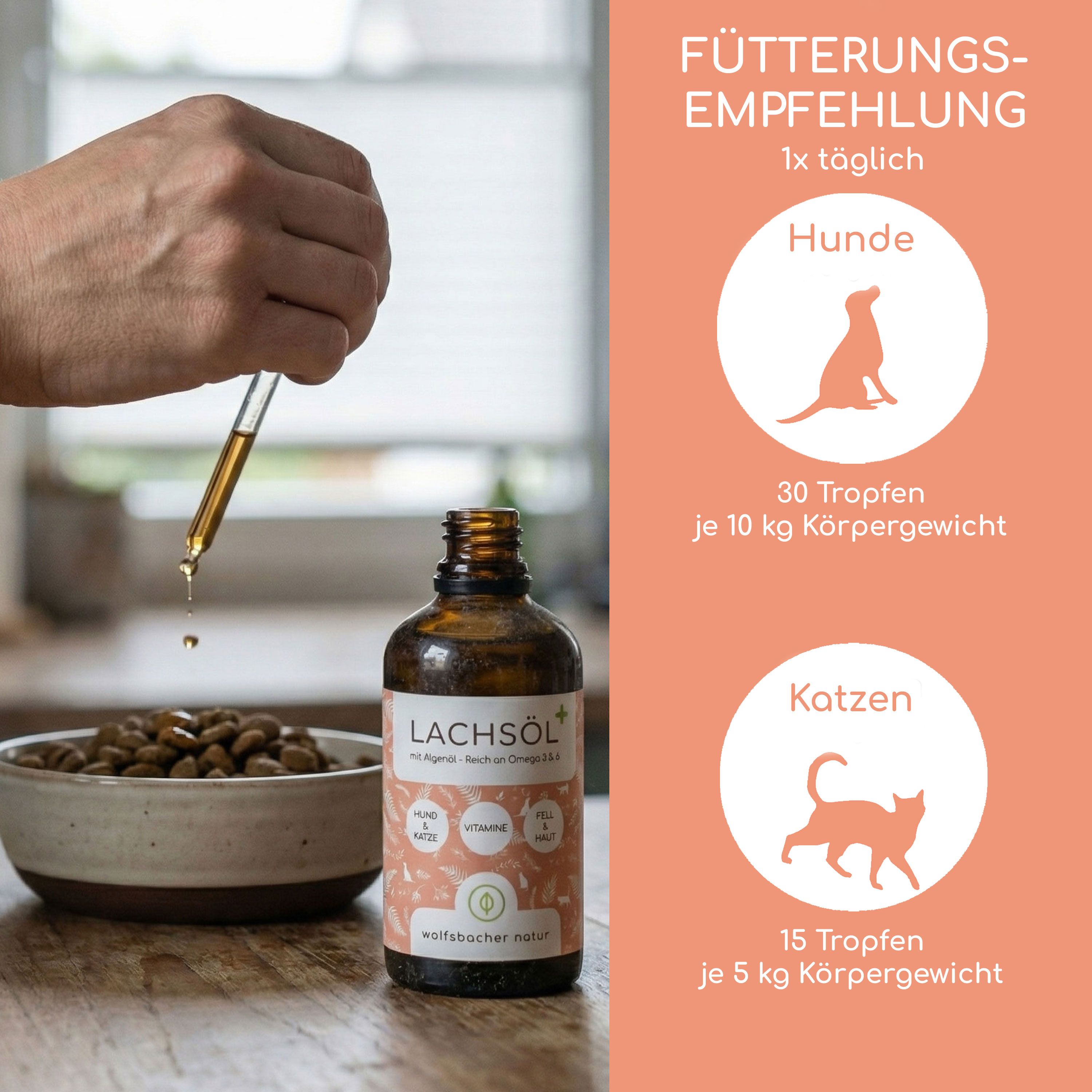 Wolfsbacher Natur Lachsöl Plus Flasche neben Futternapf. Pipette tropft Öl. Fütterungsempfehlung für Hunde und Katzen.