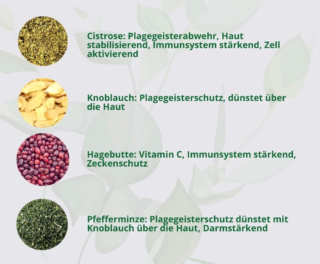 Hand aufs Pferd/Hund Plagegeister Kräuter Kribbelfrei